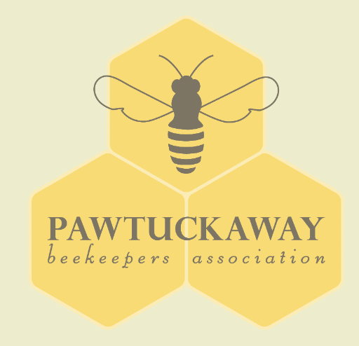 Screen Shot 2024-11-11 at 6.13.27 PM.png