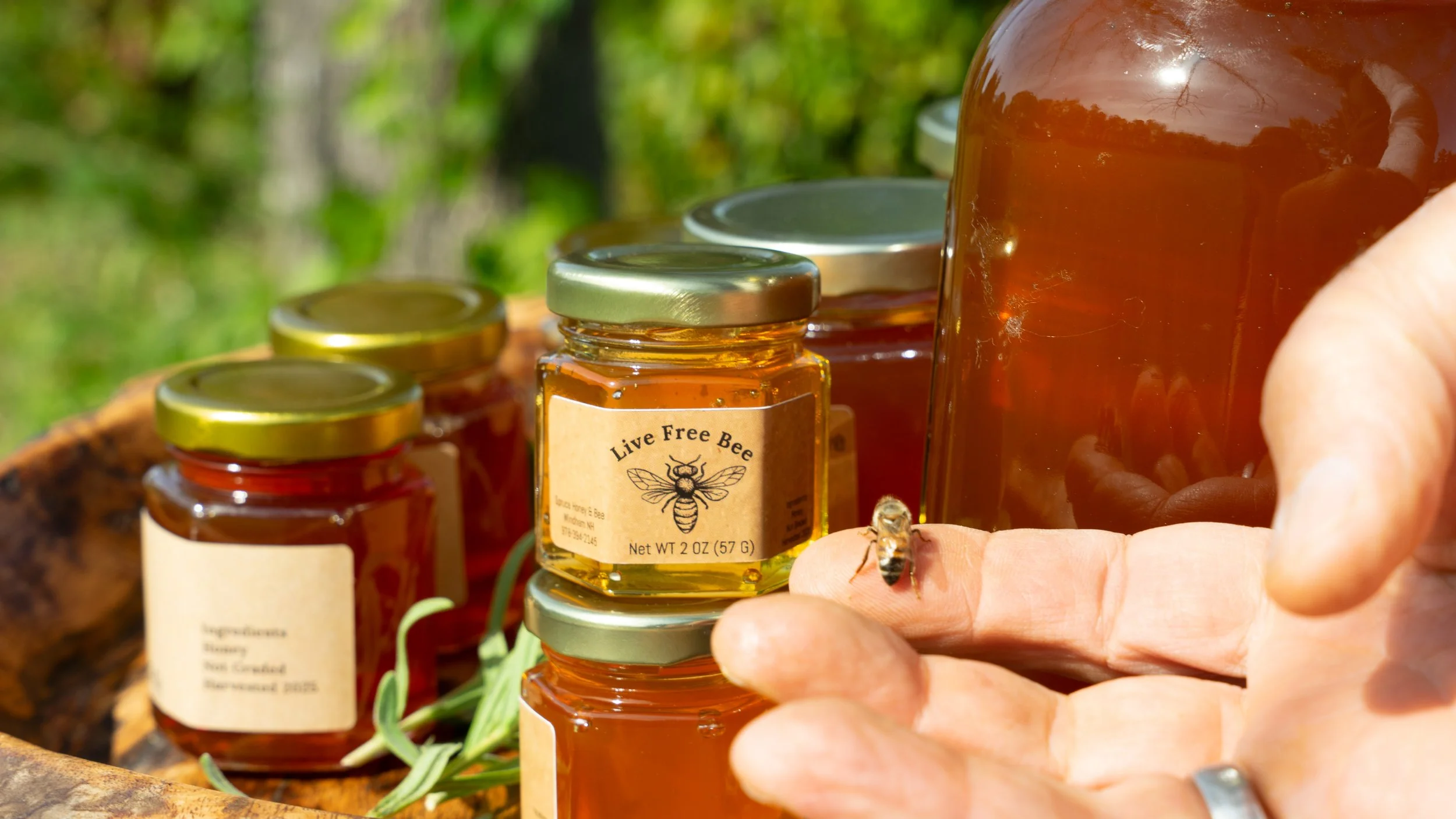 Golden raw honey in glass jars