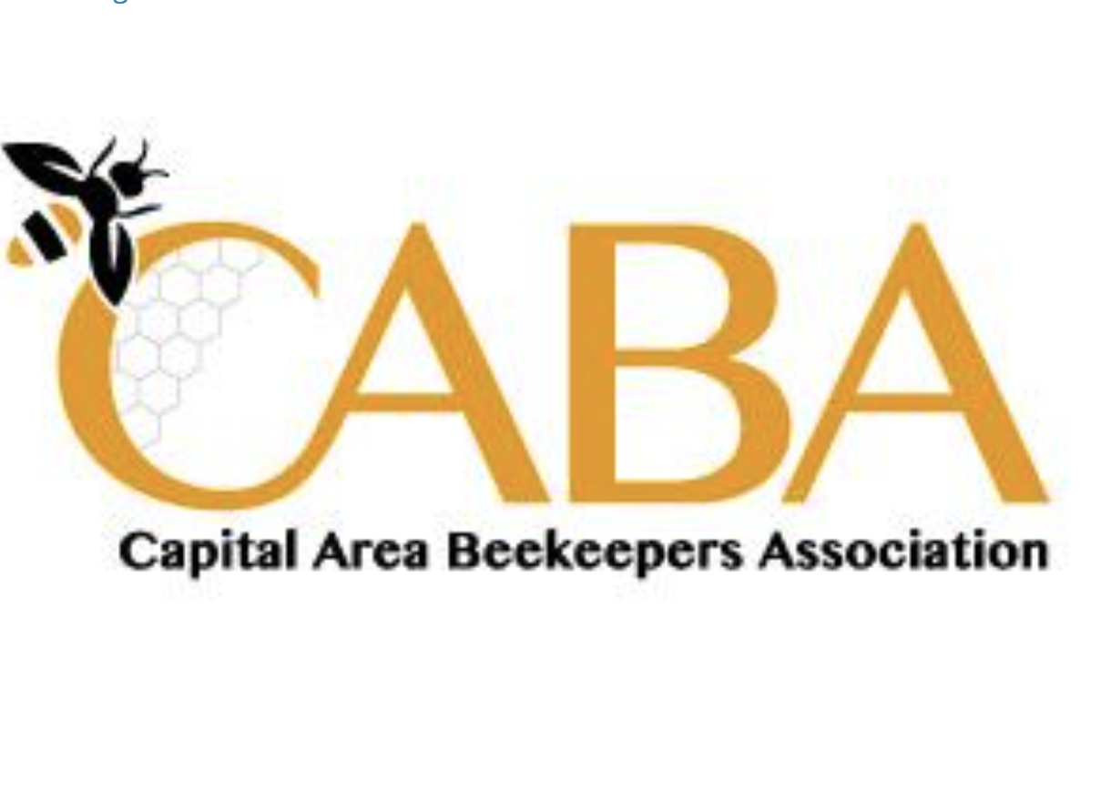 Screen Shot 2024-11-11 at 6.22.55 PM.png