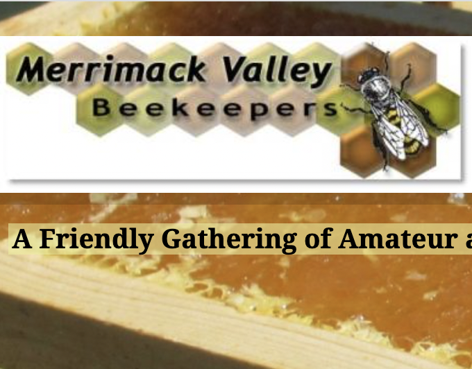 Screen Shot 2024-11-11 at 6.13.13 PM.png