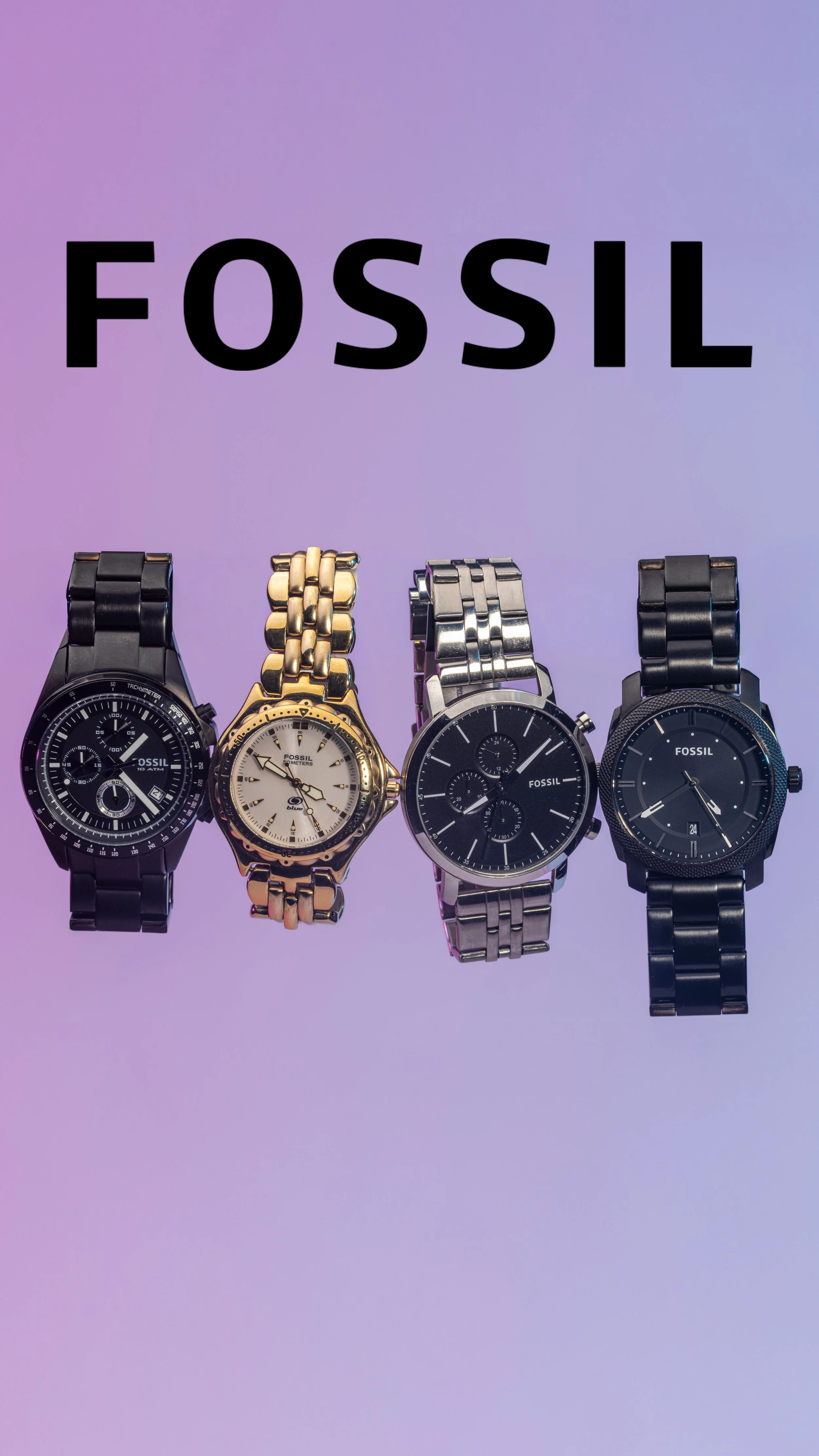 Studio Fossil-02.jpg