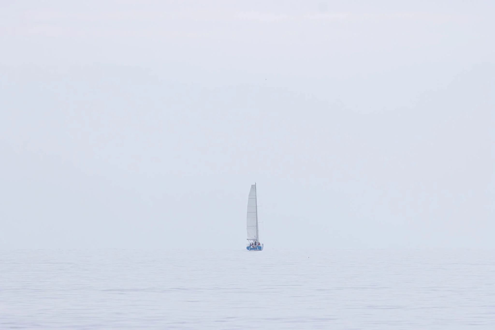 Low res animals-1.jpg