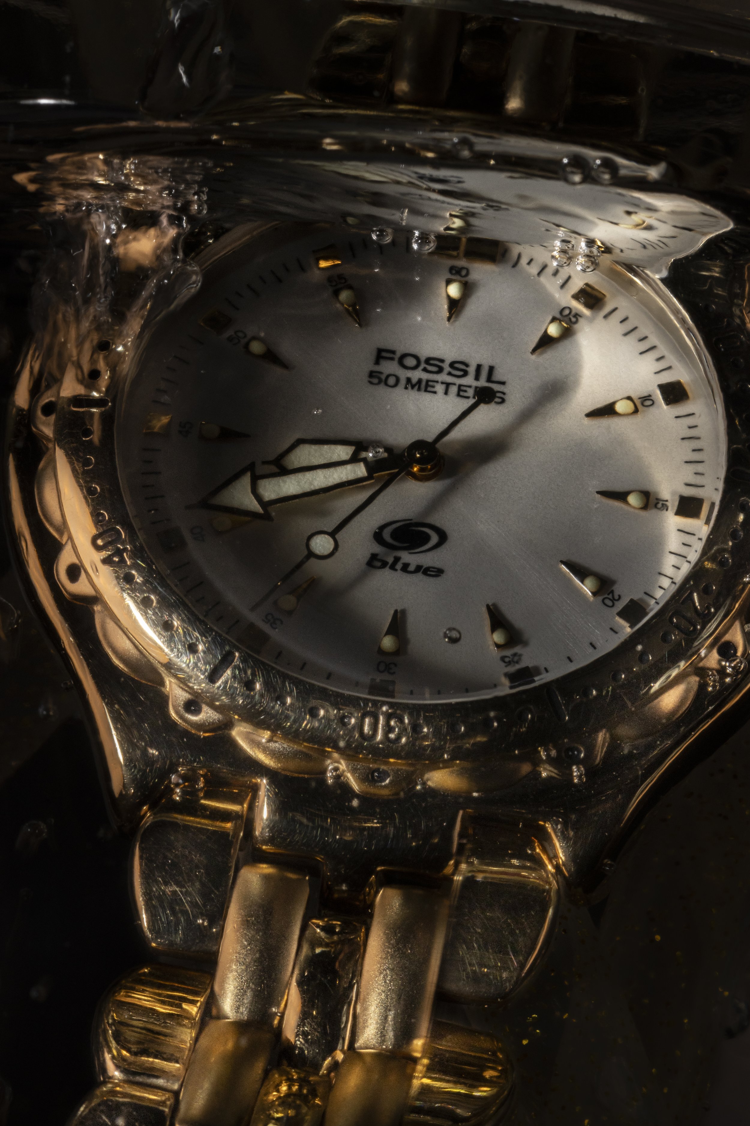 Underwater Gold Fossil-7.jpg