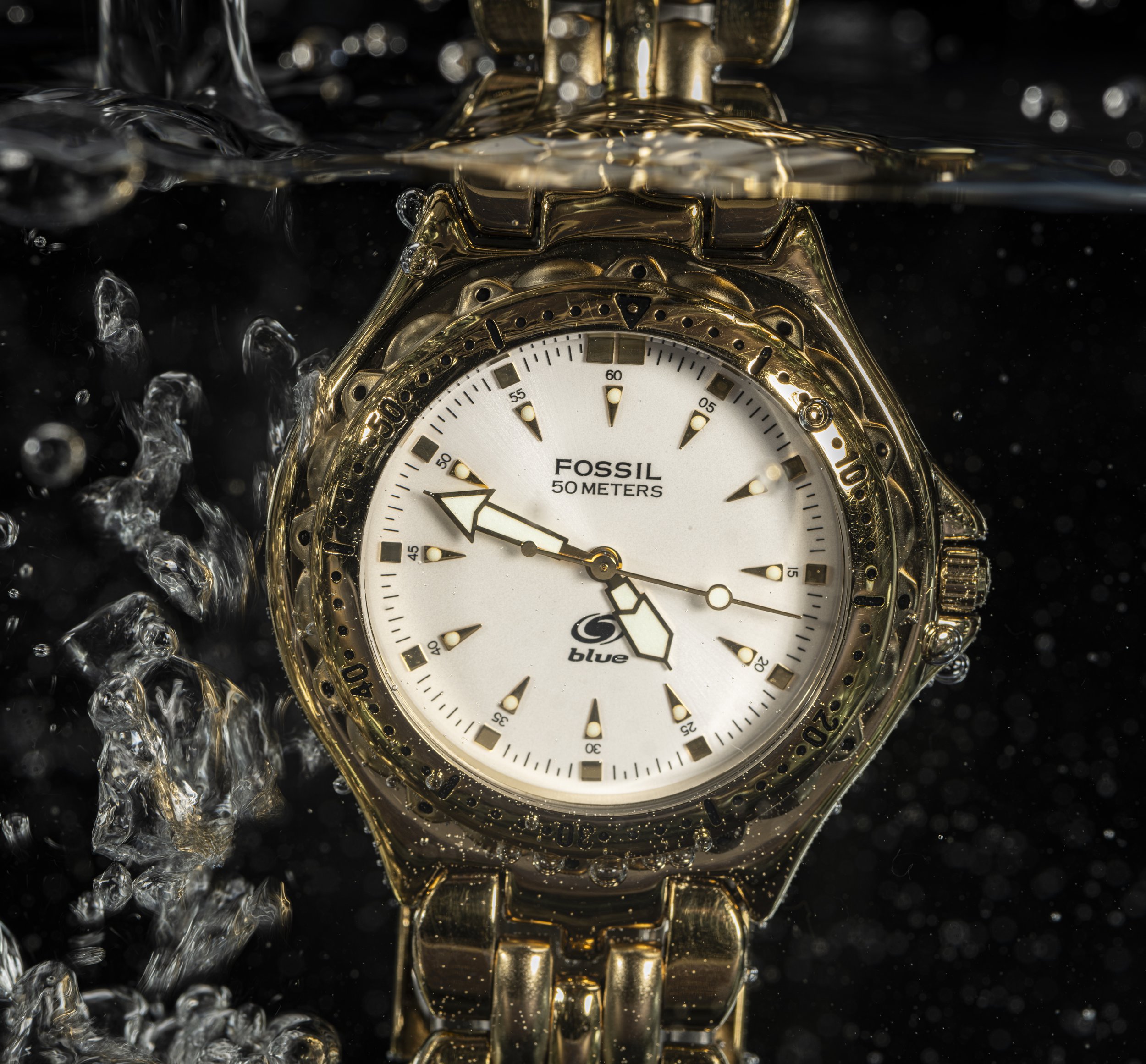 Studio Fossil-11.jpg