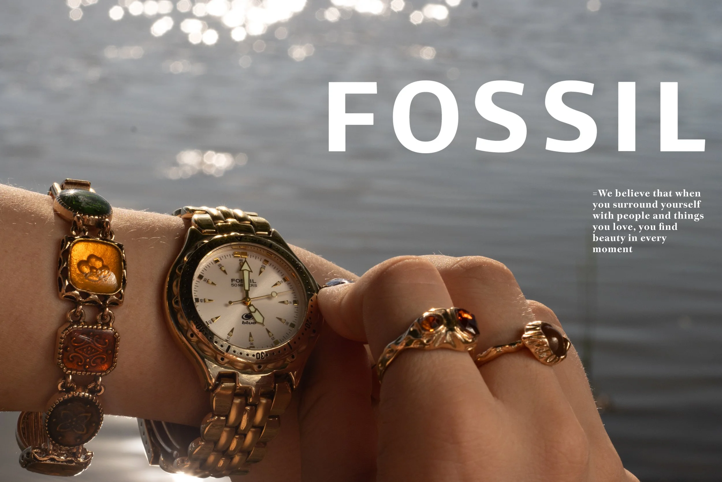 Fossil With extra Text.jpg