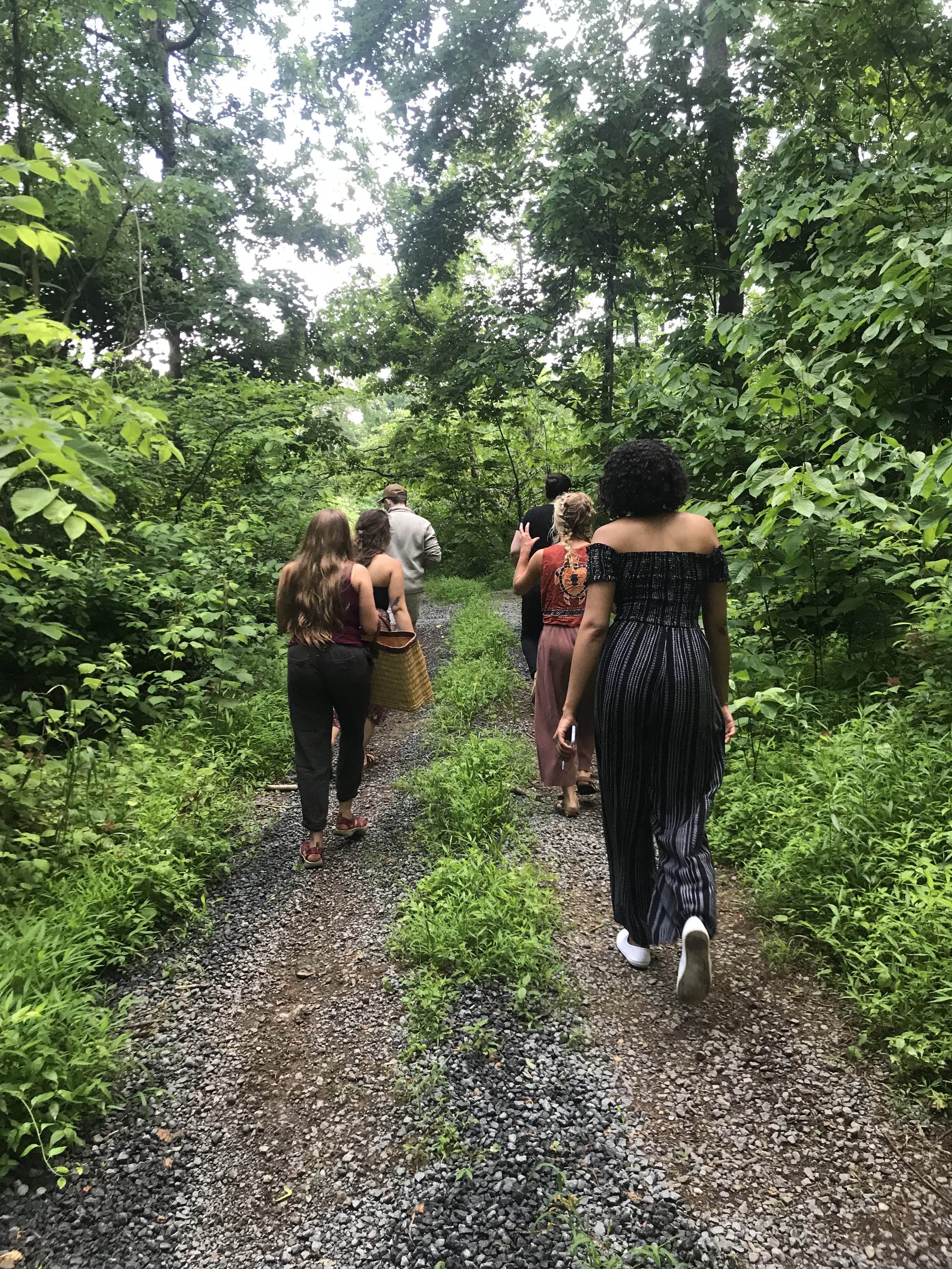 Herb Walk at Balls Bluff