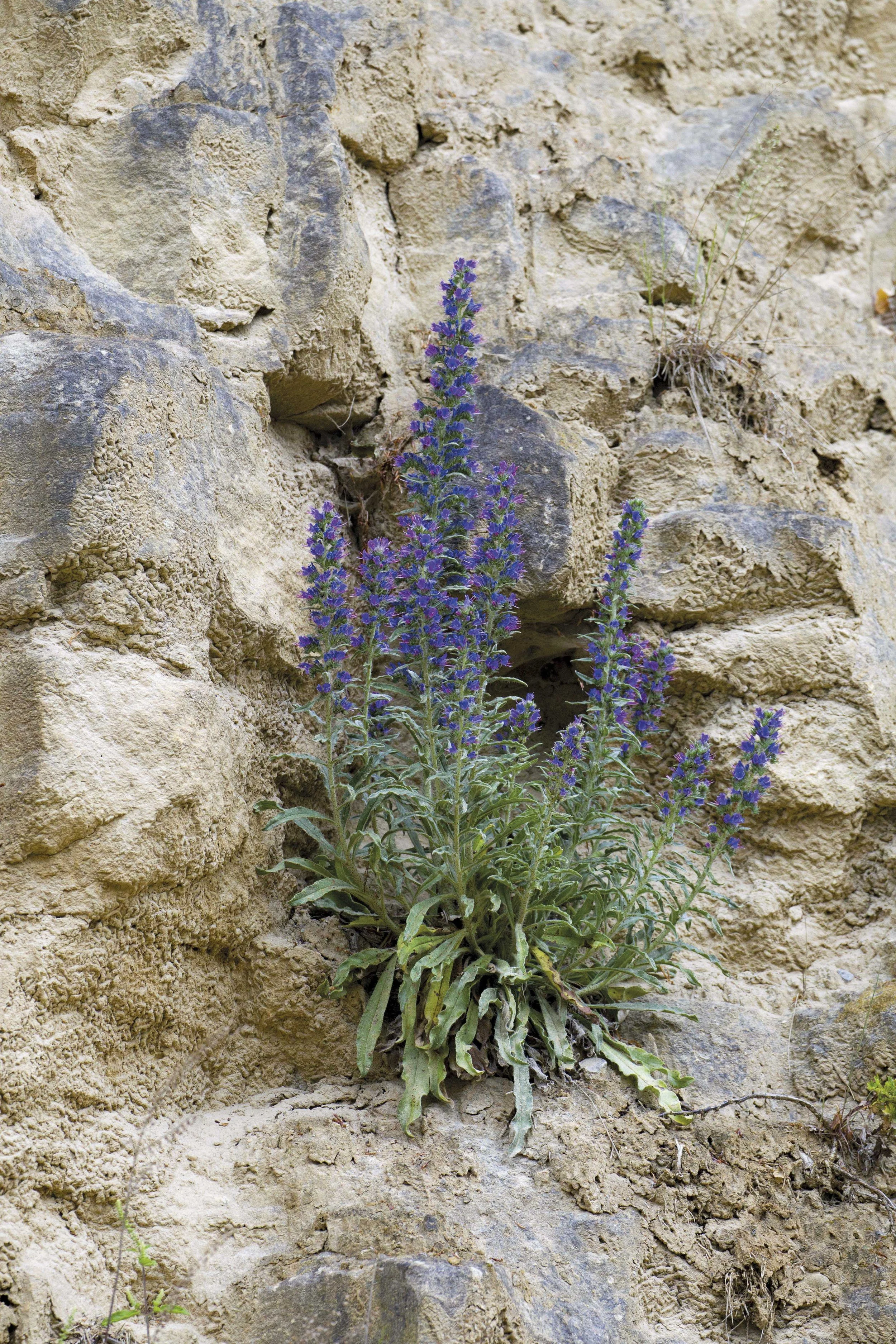 56Carrieres Feidt_Renaturation.jpg