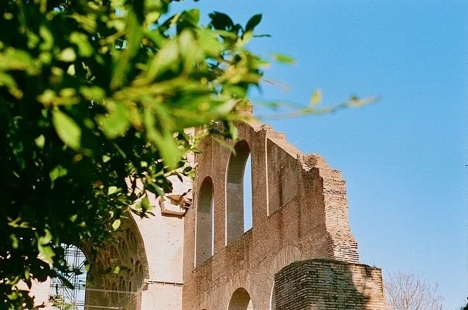 Ancient Roman ruins with an arched structure and green foliage in the foreground against a clear blue sky.
