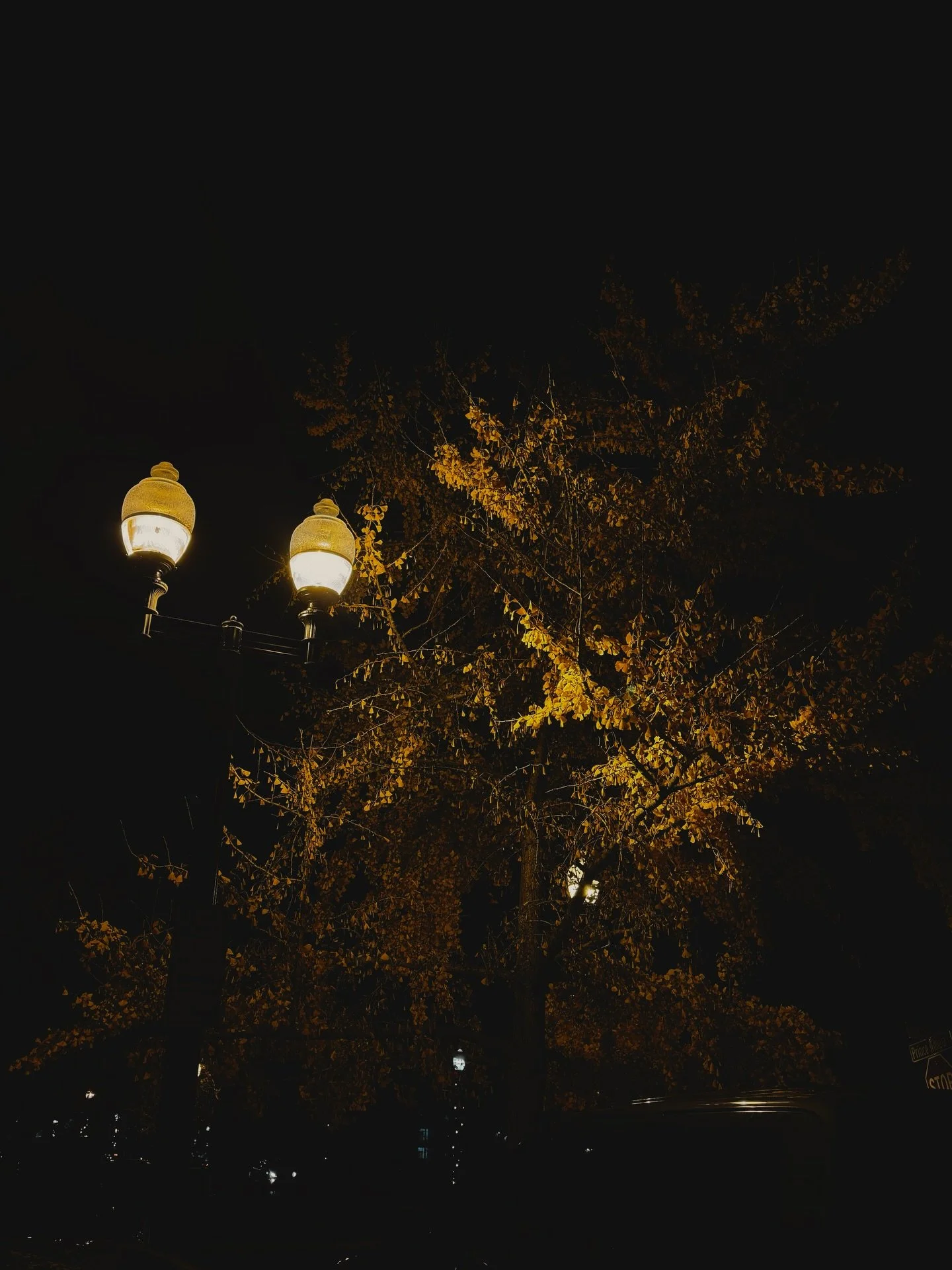 Some photos I took this year that I like :)