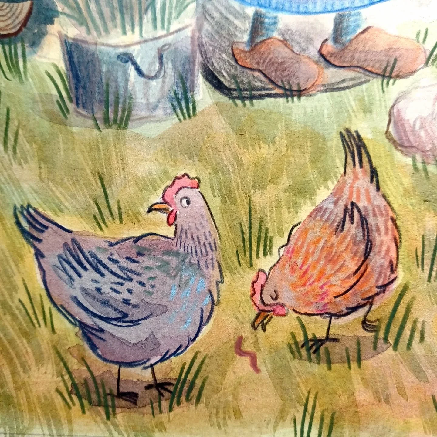 Illustrating Little Red Riding Hood for a school to use as a sensory story with their SEN students. Struggling a teensy bit but loved how these hens turned out 🐔