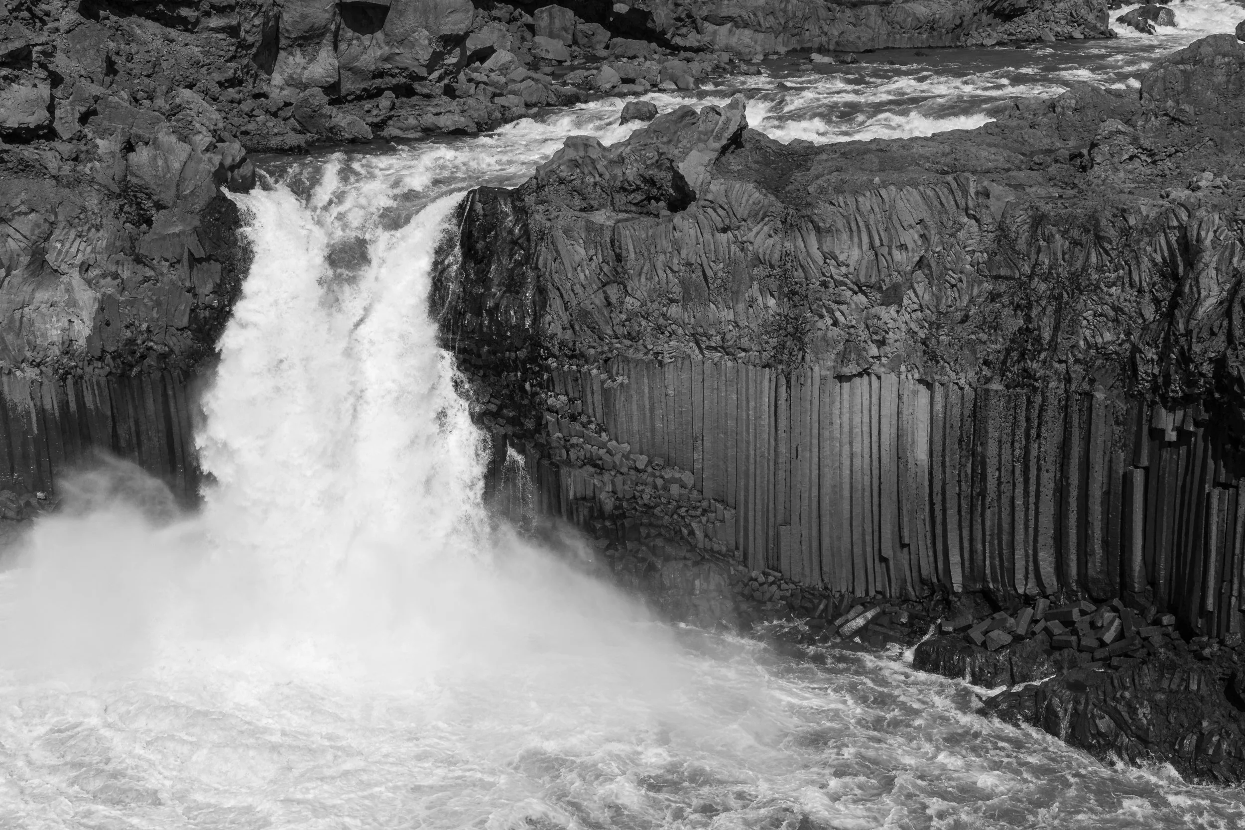 _DSC1767.jpg