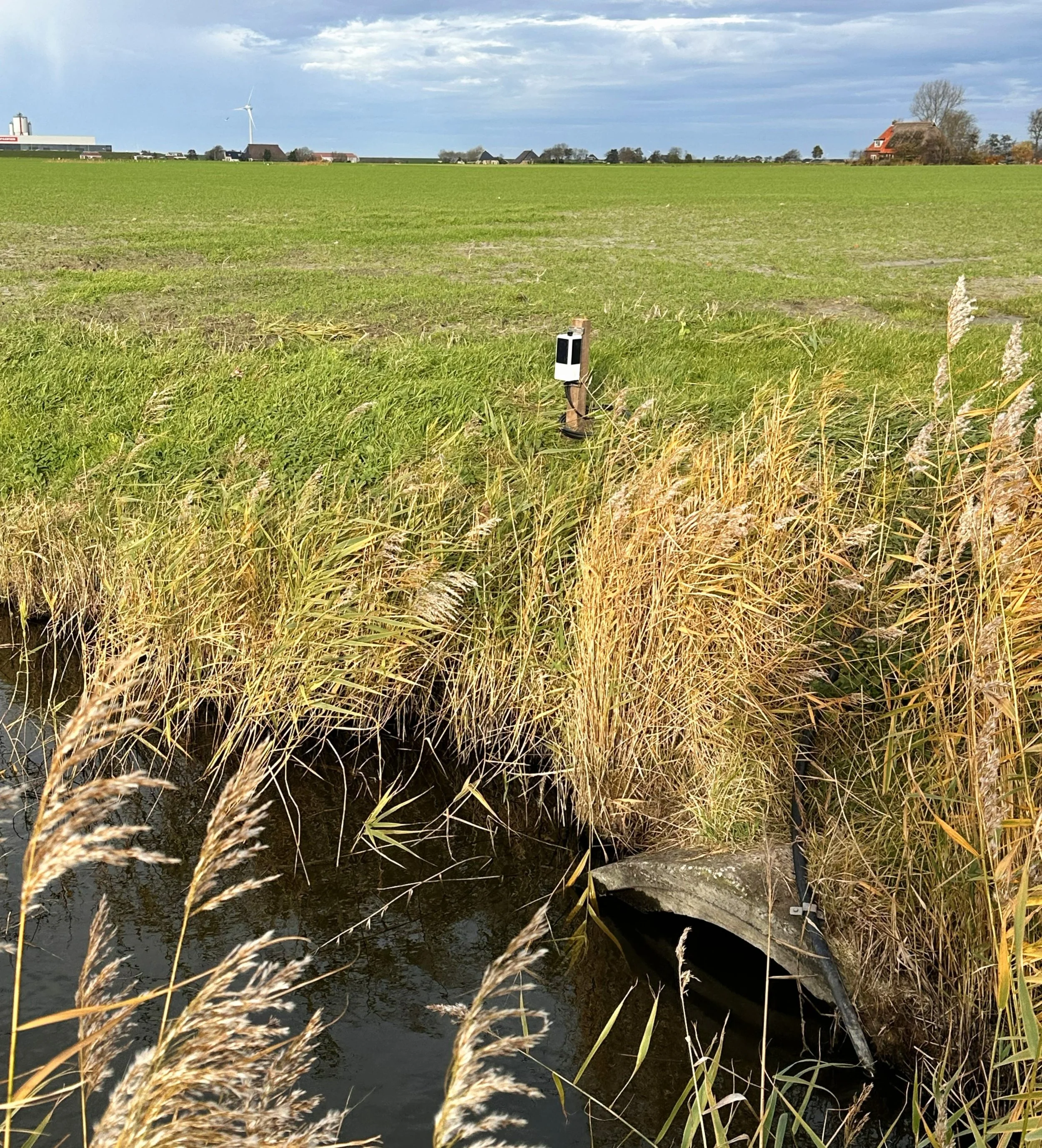 Een landschap met een groen weiland, een waterloop aan de voorgrond, enkele gebouwen, een windmolen en bomen op de achtergrond, onder een bewolkte hemel.