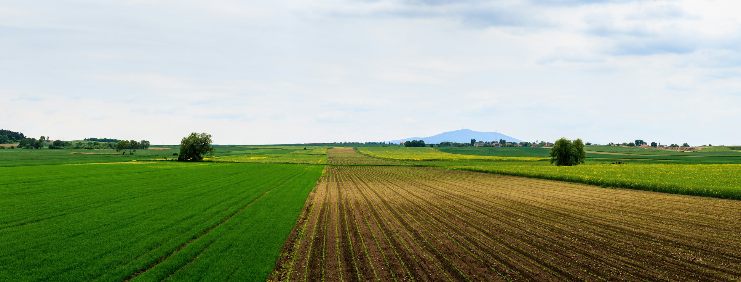 Understanding 1031 Exchanges: A Powerful Tool for Small Business Owners
