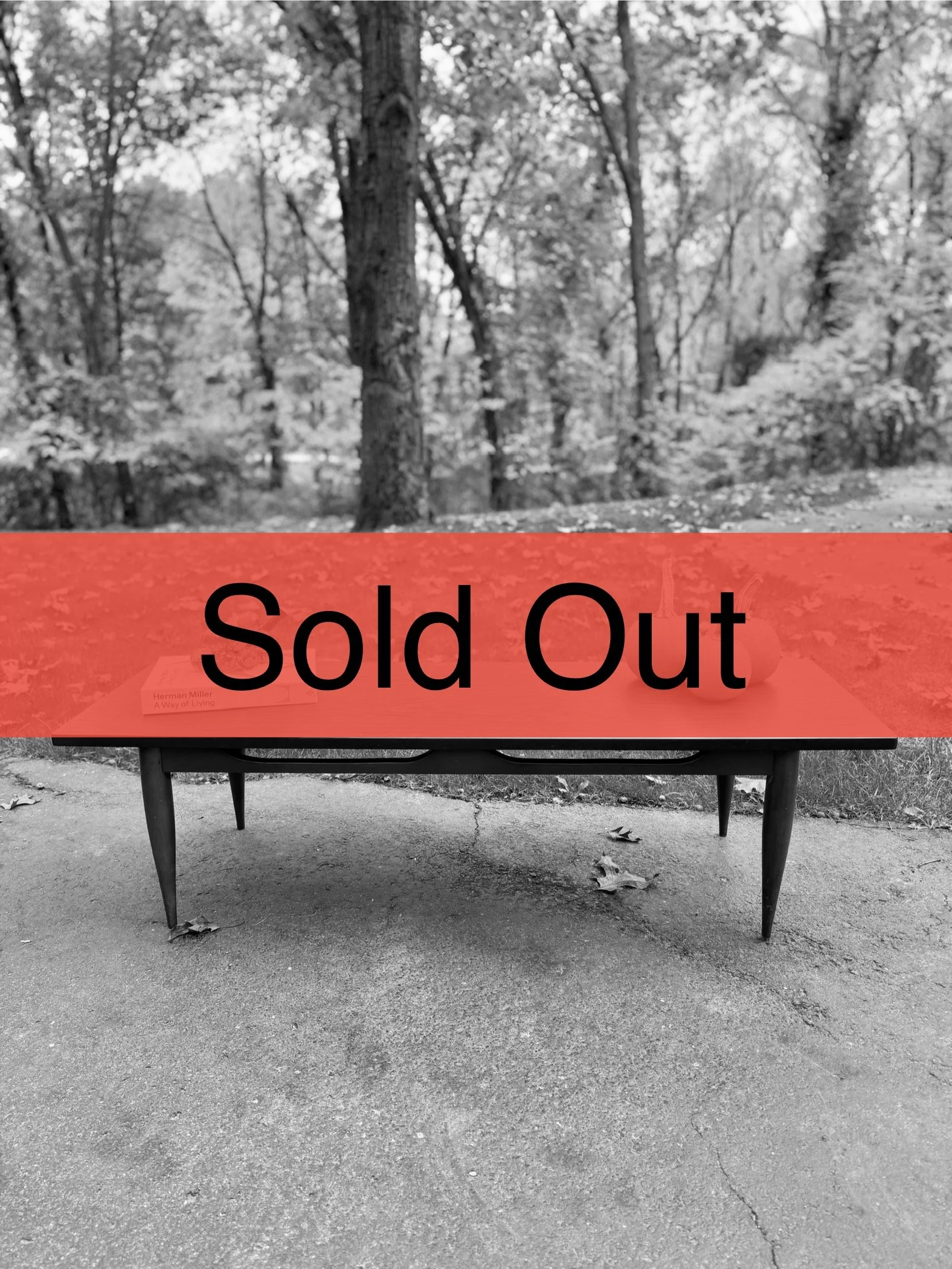 MCM Rectangle Coffee Table