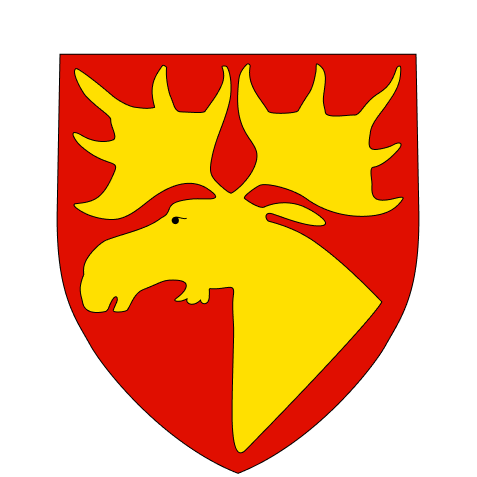 testimonial-namsos.png