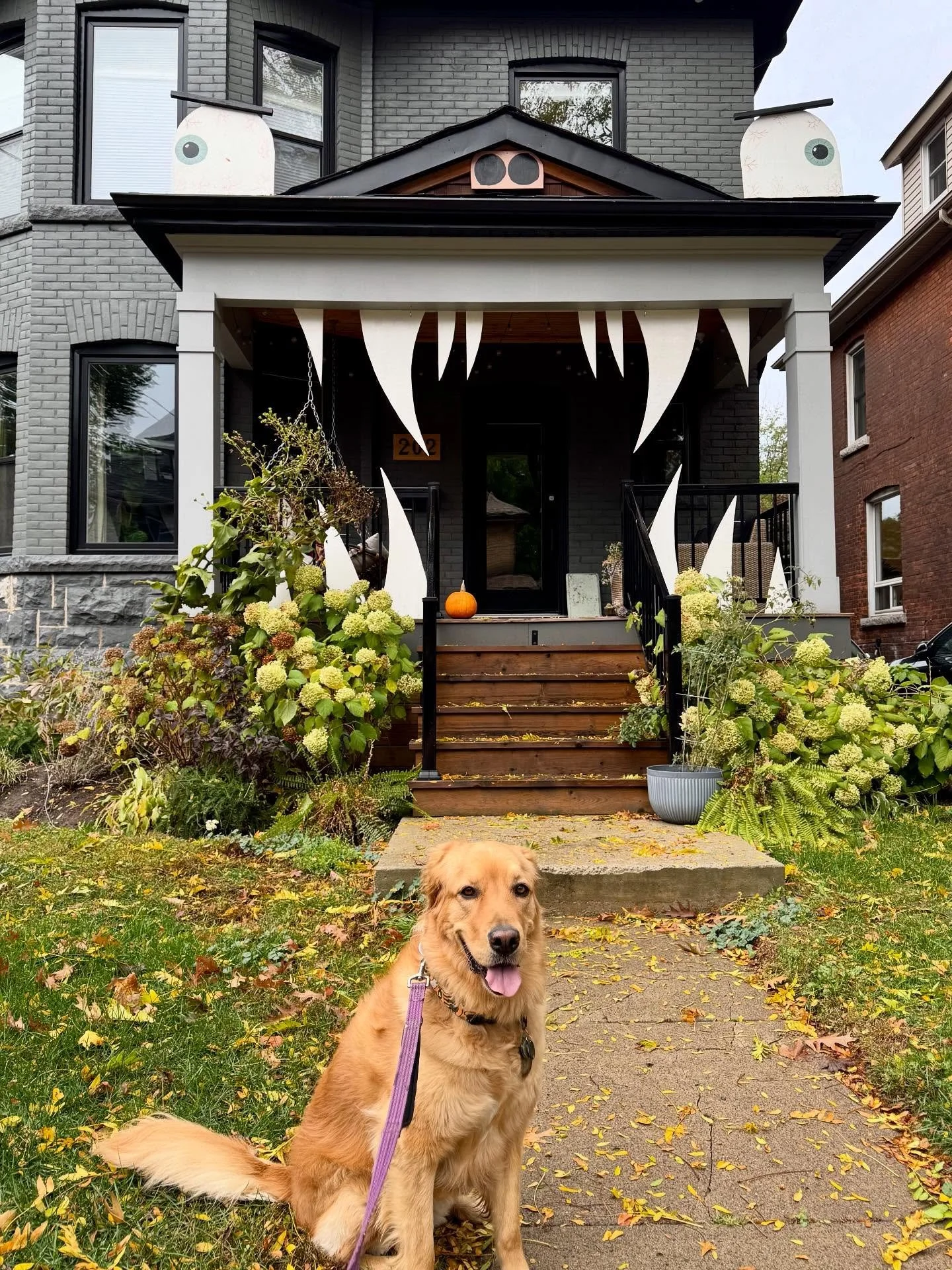 HAPPY HALLOWEEN #OURWARD3 🎃👻💀🧙🏽&zwj;♀️

As we enjoy the last of the Halloween festivities, please remember to keep our streets safe for our trick-or-treaters. Tonight is a much anticipated time for children and youth to safely enjoy their neighb