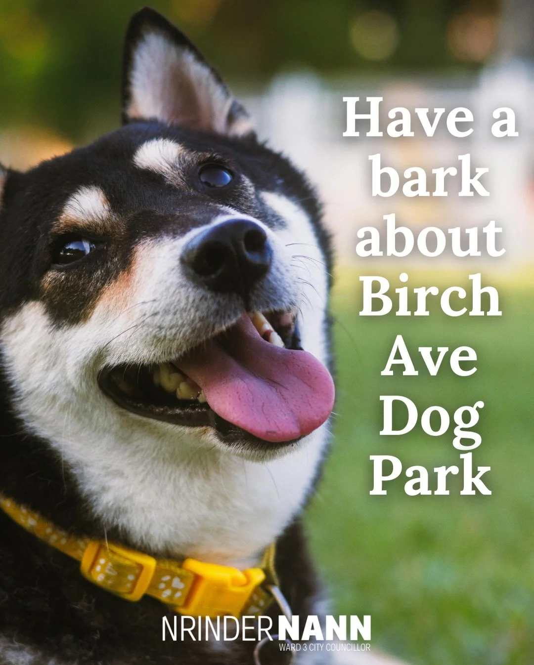 Join me, my Ward 3 colleagues, and City of Hamilton Environmental Services staff for a community meeting where we will be sharing updates on the status of the Birch Ave Dog Park and to discuss plans for its future. 

This meeting has been organized i