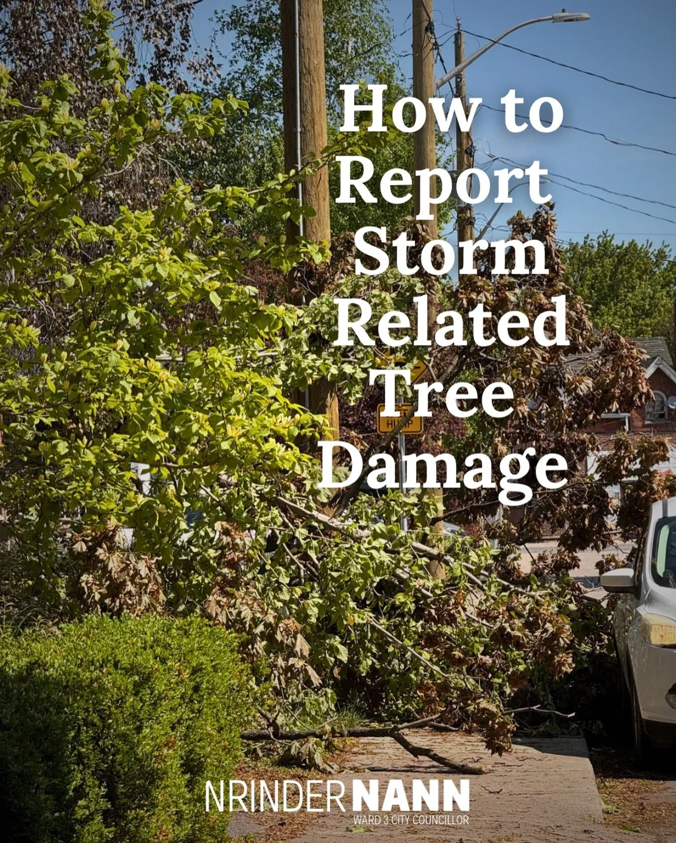 How to Report Storm-based Tree Damage 

Neighbours have been reporting in about trees splitting or losing limbs from yesterday&rsquo;s storm.

City crews have closed Victoria Avenue North between Barton and Robert streets for the cleanup of several t