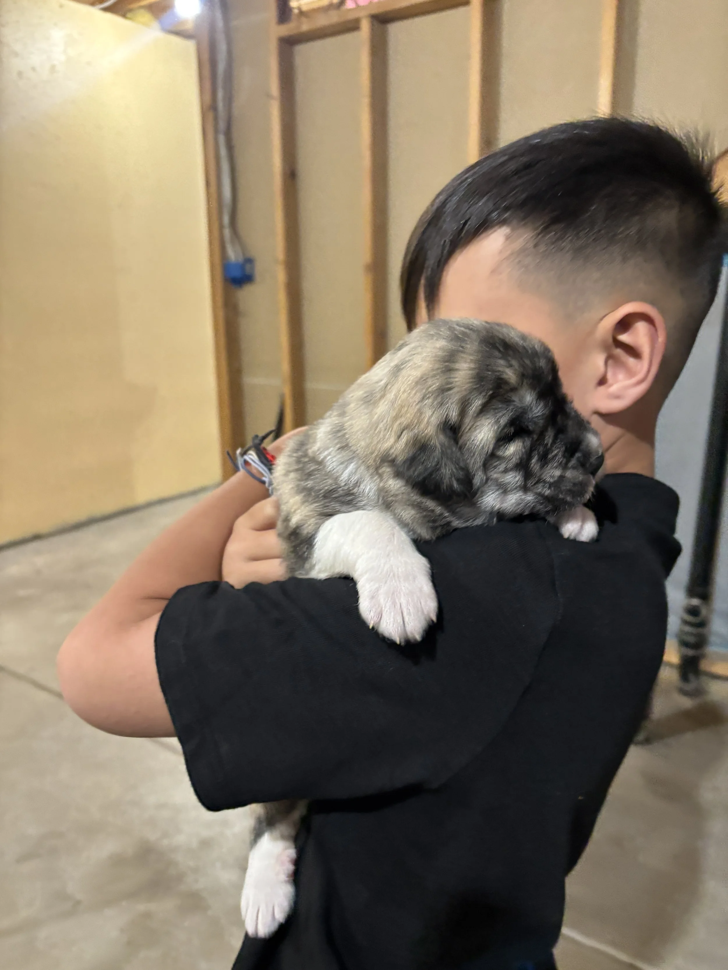 Rebel- (Nyx & Ghost)