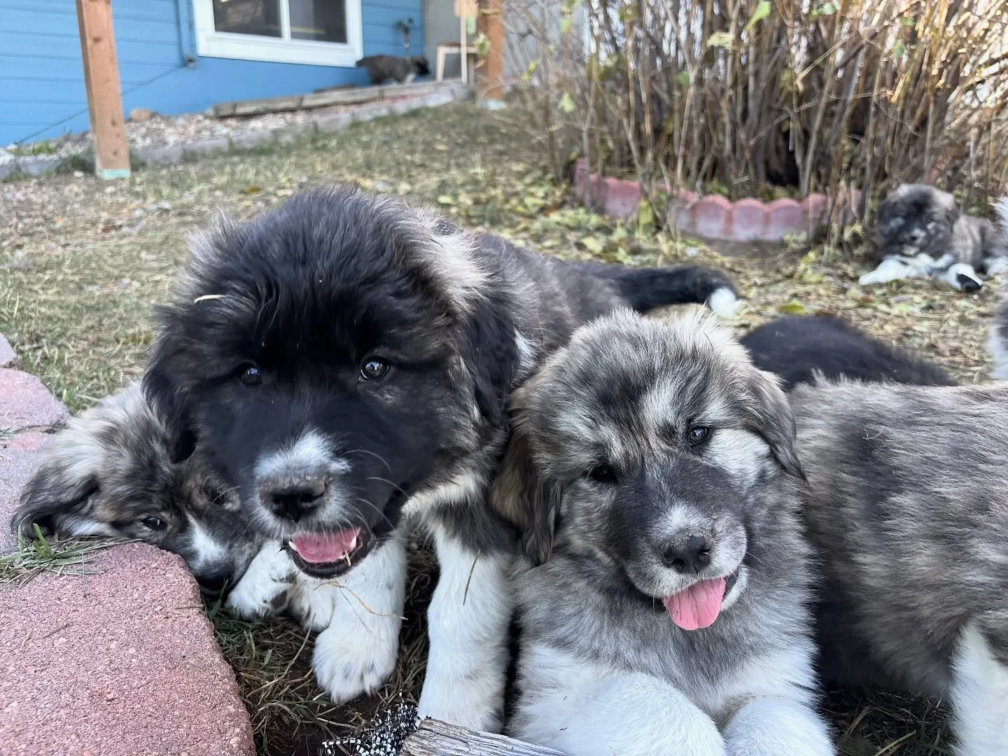 Lux and Slash- 
(Nyx/Ghost)