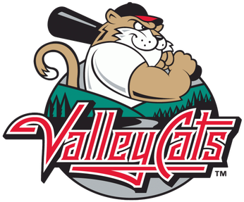AIAENY @ Tri-City Valley Cats