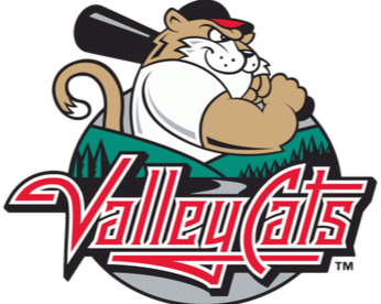 AIAENY @ Tri-City Valley Cats
