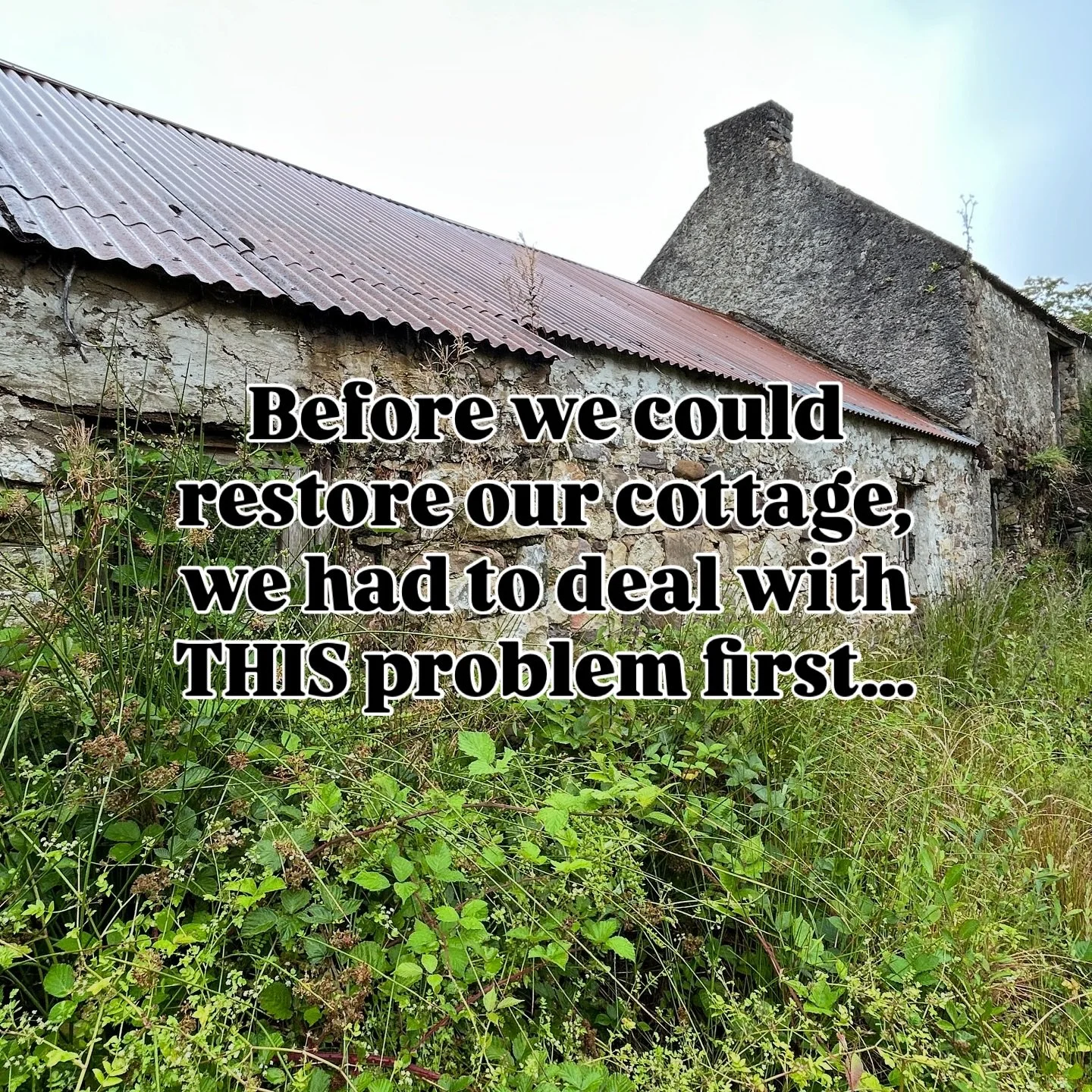 The first battle in restoring our cottage? 💦 Keeping it dry.

Every old cottage has its quirks. Ours sits low, right next to the road, in soil that&rsquo;s constantly wet. The ground is rocky, uneven, and boggy, with barely any slope for water to dr