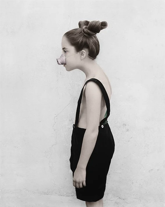 Gallery 1 — Vee Speers