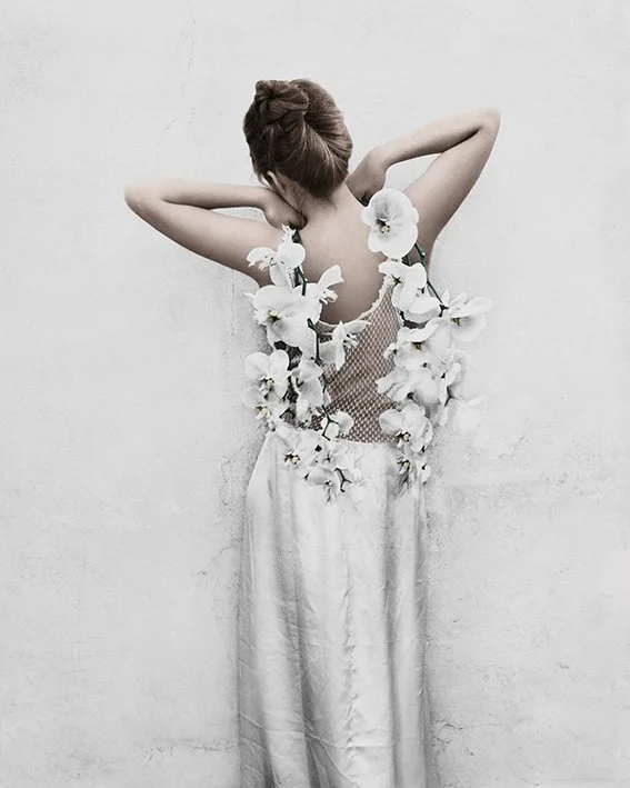 All collections | Discover Stunning Collections Today — Vee Speers