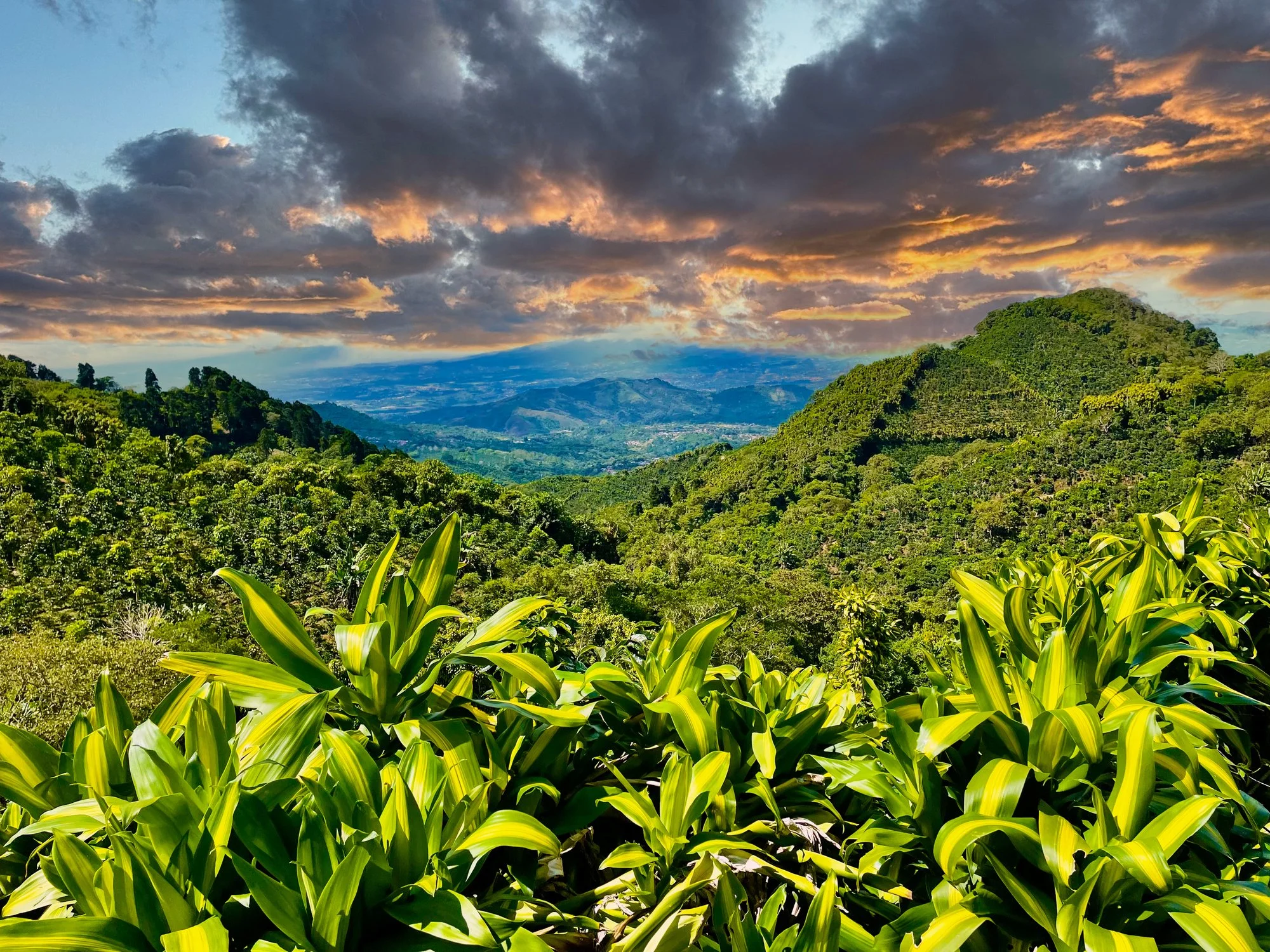 Lush green mountains with vibrant foliage under a dramatic sunset sky with clouds.