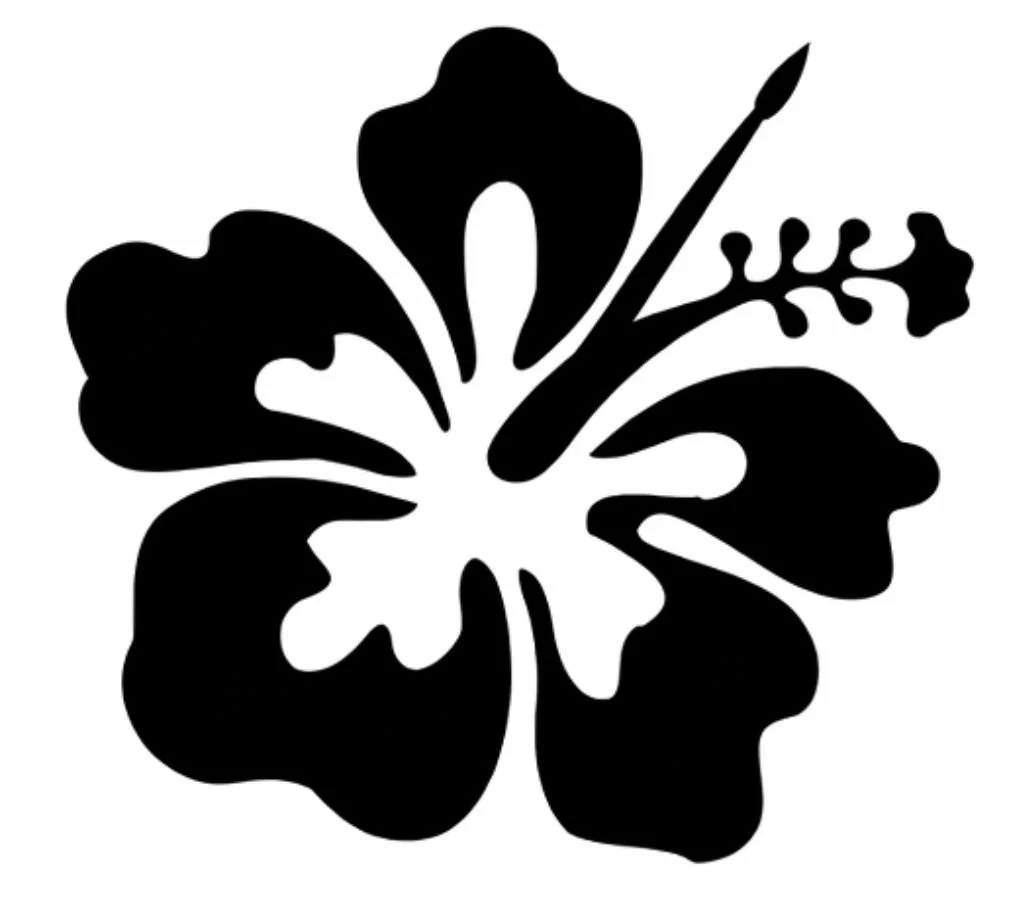 Vaimoana Litia Makakaufaki Niumeitolu