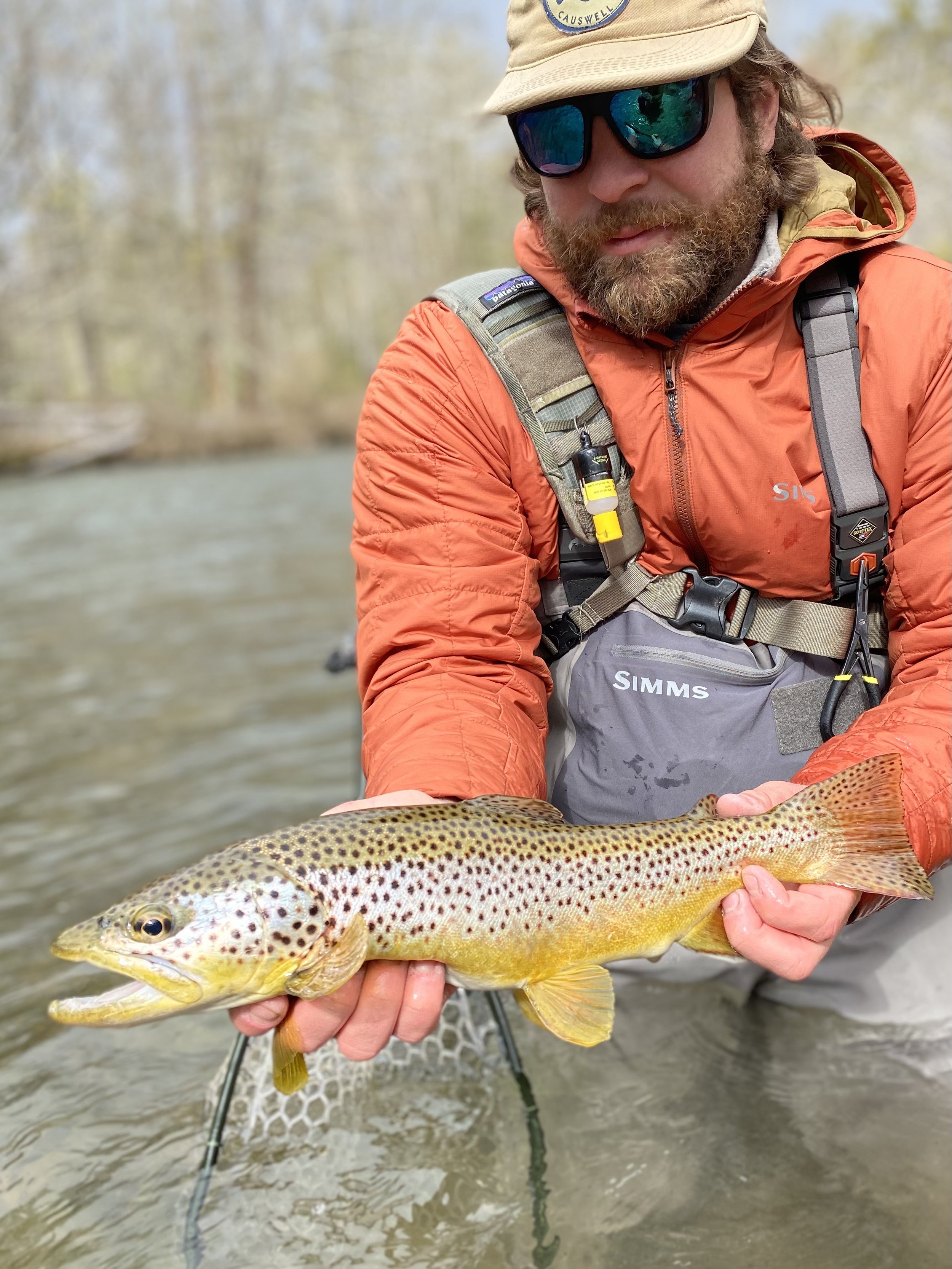 penns creek brown trout