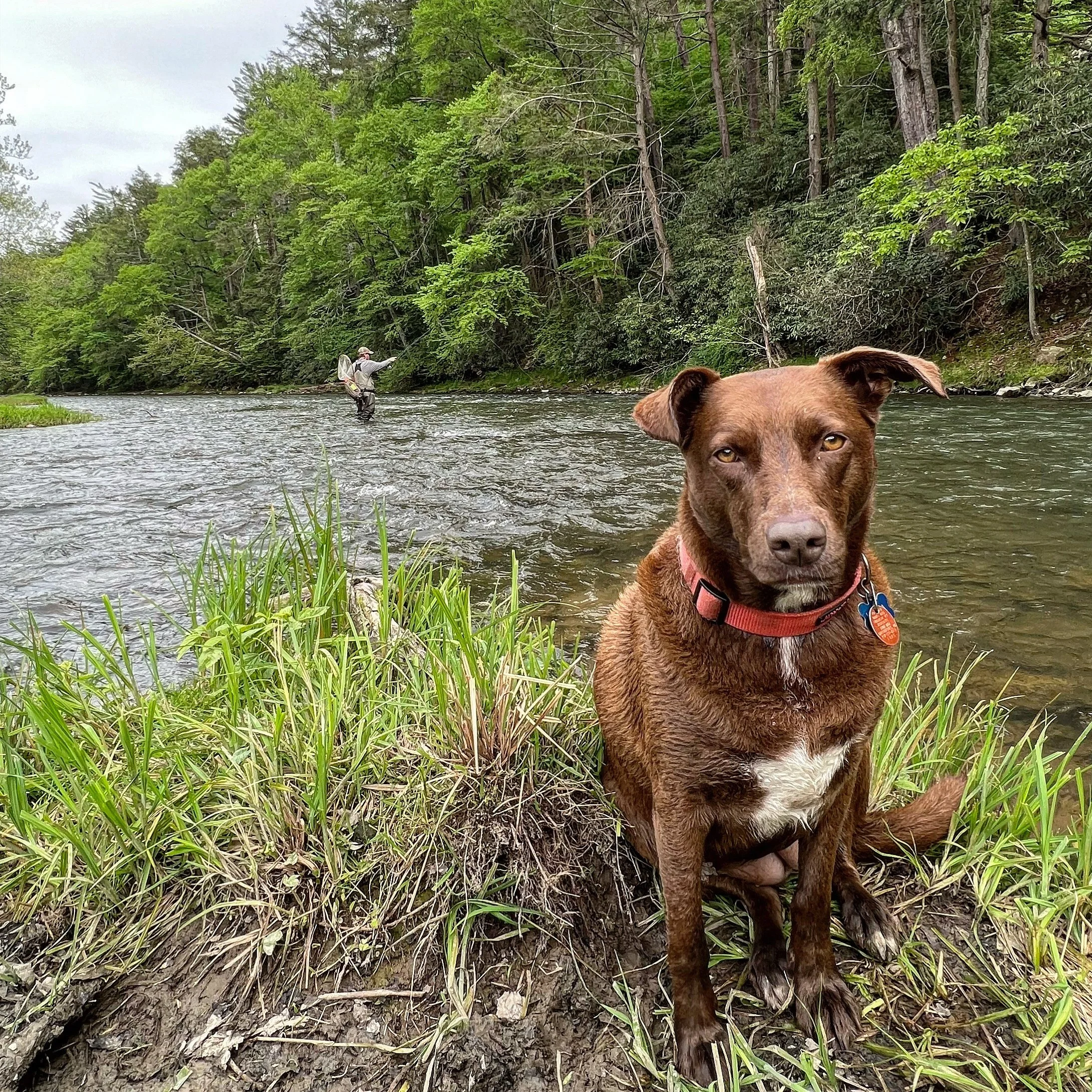 penns creek fishing guide