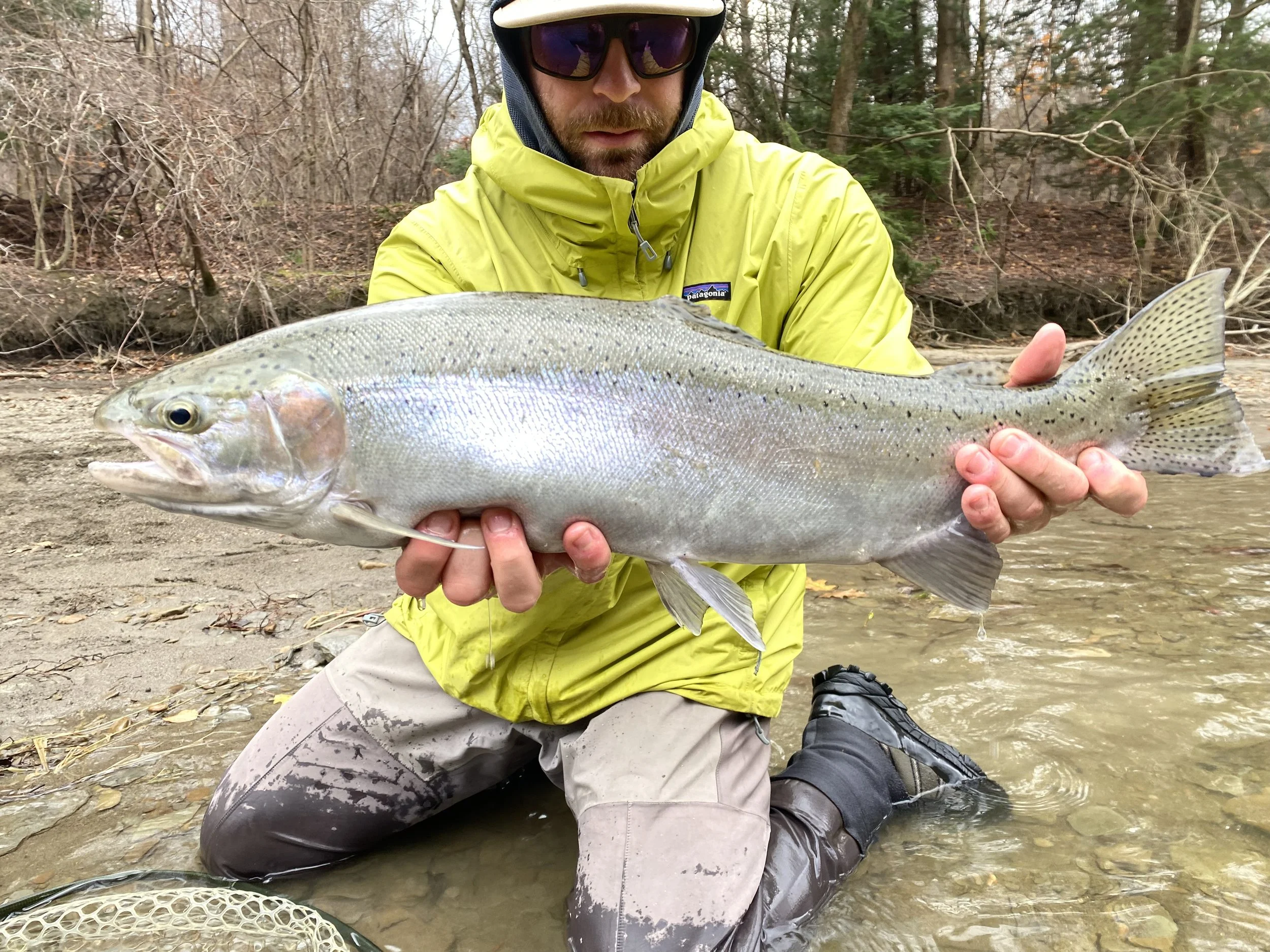 erie steelhead elk creek