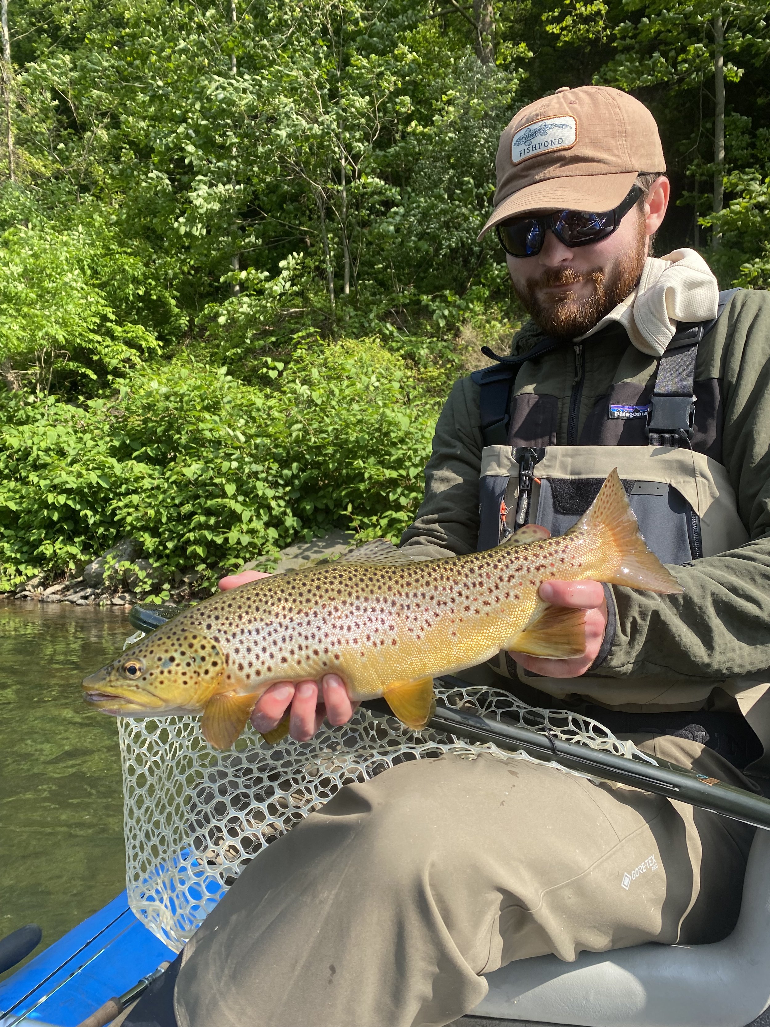 brown trout fly fishing guides pine creek pennsylvania