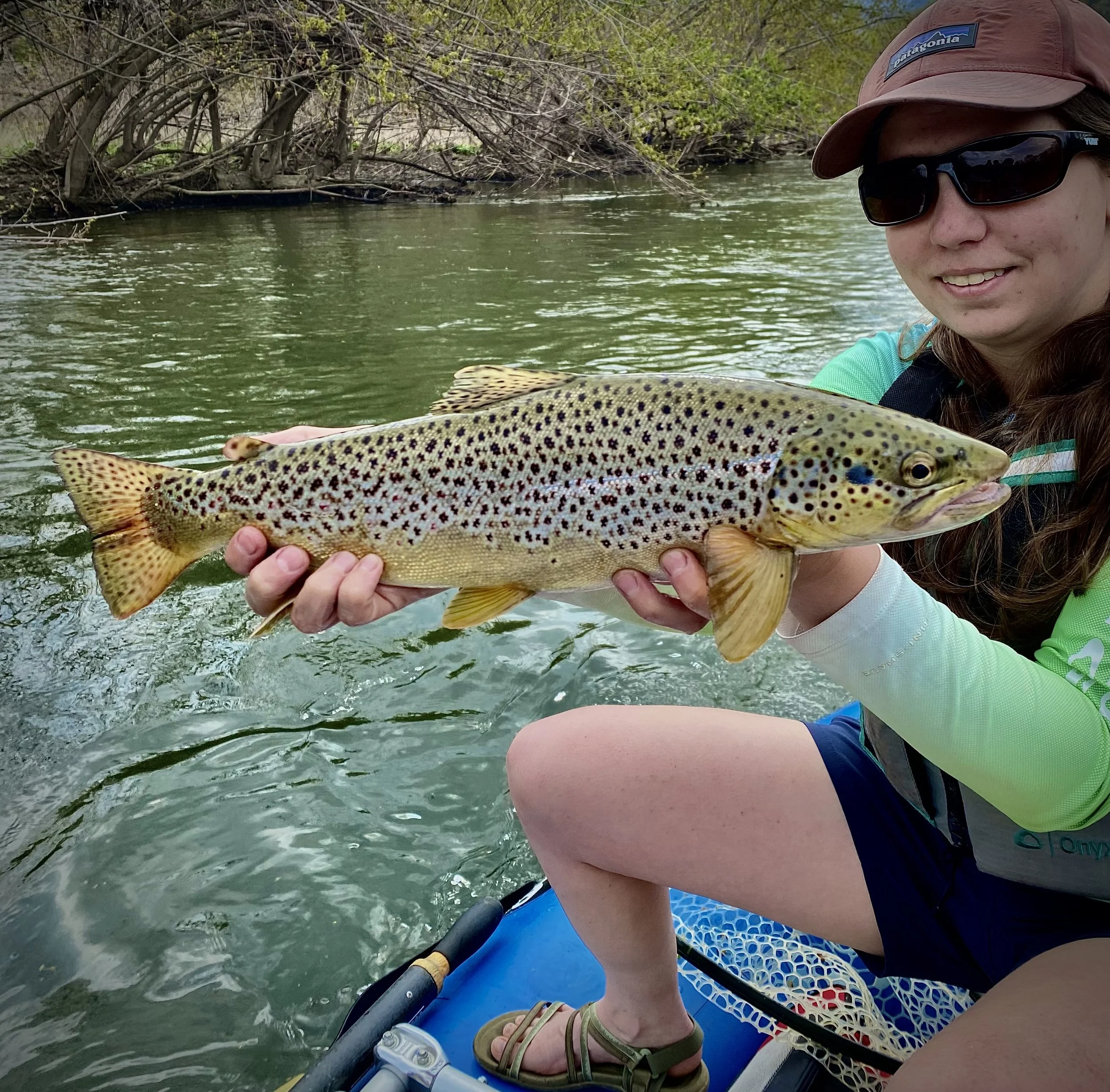 big pennsylvania brown trout