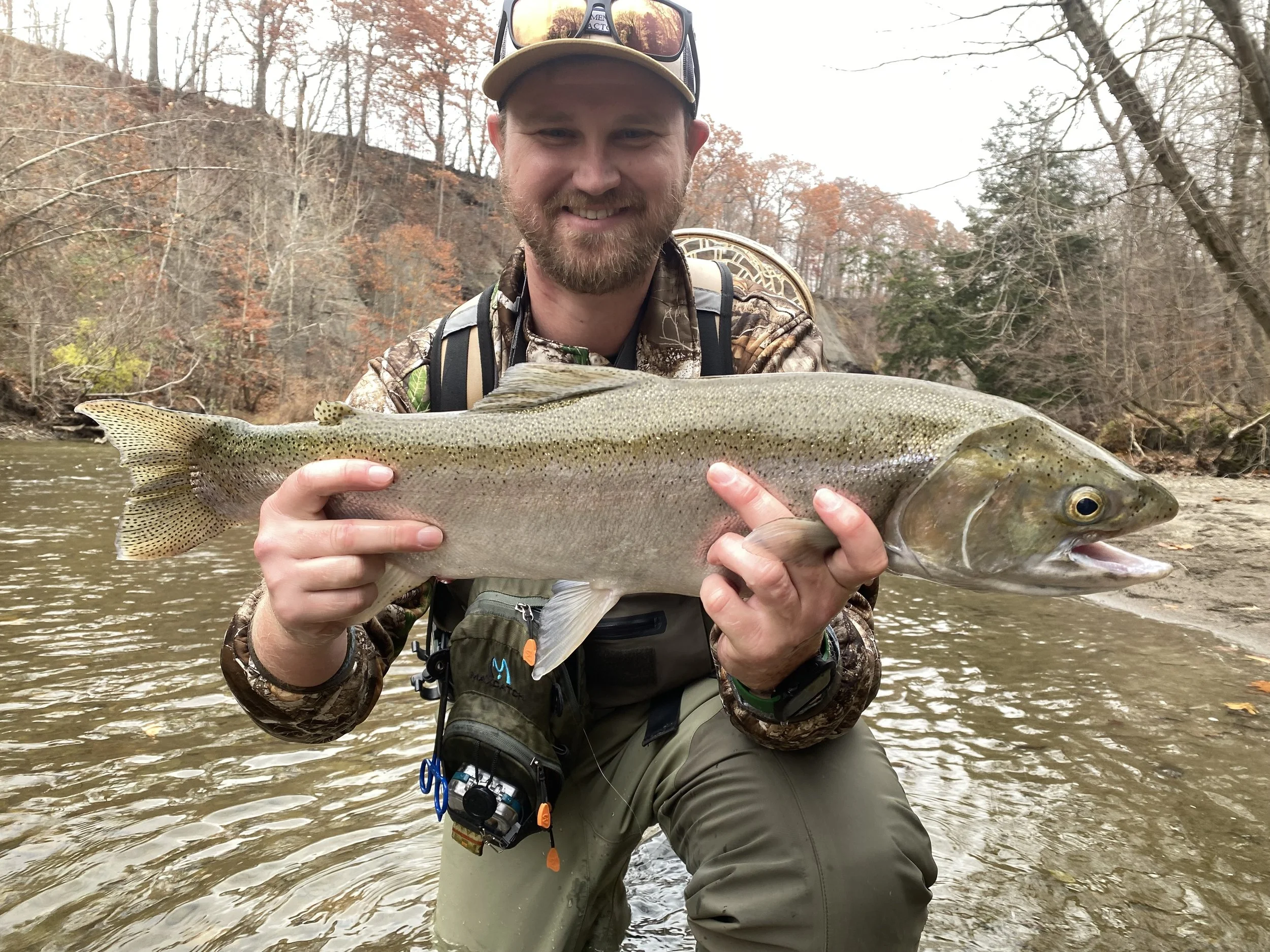 erie steelhead guide