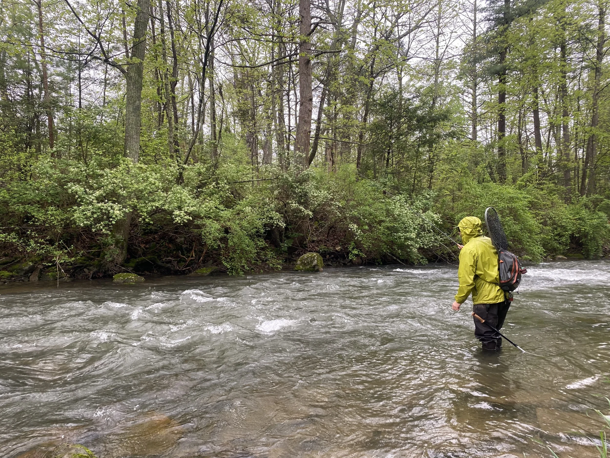 fishing creek fishing guide