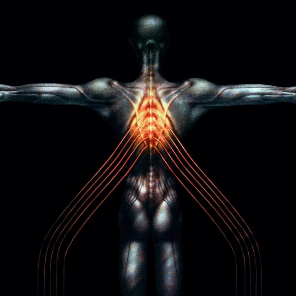 Salival is a live album by American progressive rock band Tool, with Maynard James Keenan, Justin Chancellor, Adam Jones and Danny Carey. All Things Rock have ranked Salival in review list of all Tool and Maynard albums ranked for fans of metal music