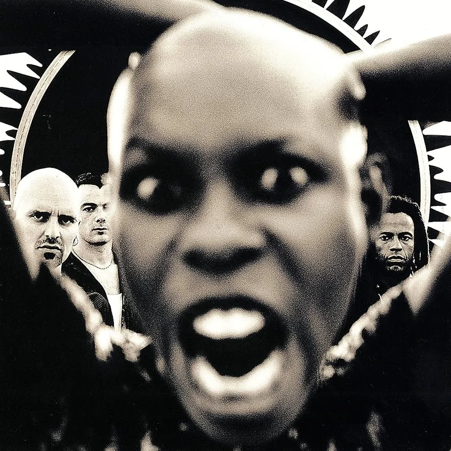 Stoosh is the second album by Skunk Anansie, Britrock superstars featuring Skin, Mark, Cass and Ace. All Things Rock review and rank all Skunk Anansie albums and have ranked Stoosh as the best Skunk Anansie record, even better than Paranoid