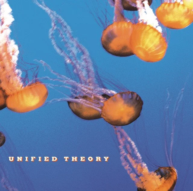 Unified Theory was a rock band who released two albums. Formed from the ashes of Blind Melon, Unified Theory is an underrated band with a crimincally forgotten album, ranked by All Things Rock