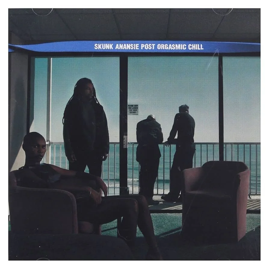 Post Orgasmic Chill is the third record by Skunk Anansie, with Skin on vocals and Mark on drums, Cass on bass and Ace on guitar. All Things Rock have ranked and reviewed every Skunk Anansie album, and Post Orgasmic Chill is the 3rd best album