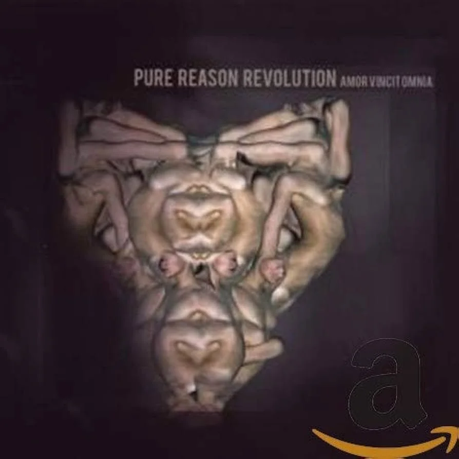 Pure Reason Revolution released their second album Amor Vincit Omnia in 2009. Amor Vincit Omnia is an underrated album that showcased a more electronic sound for the prog rock band Pure Reason Revolution