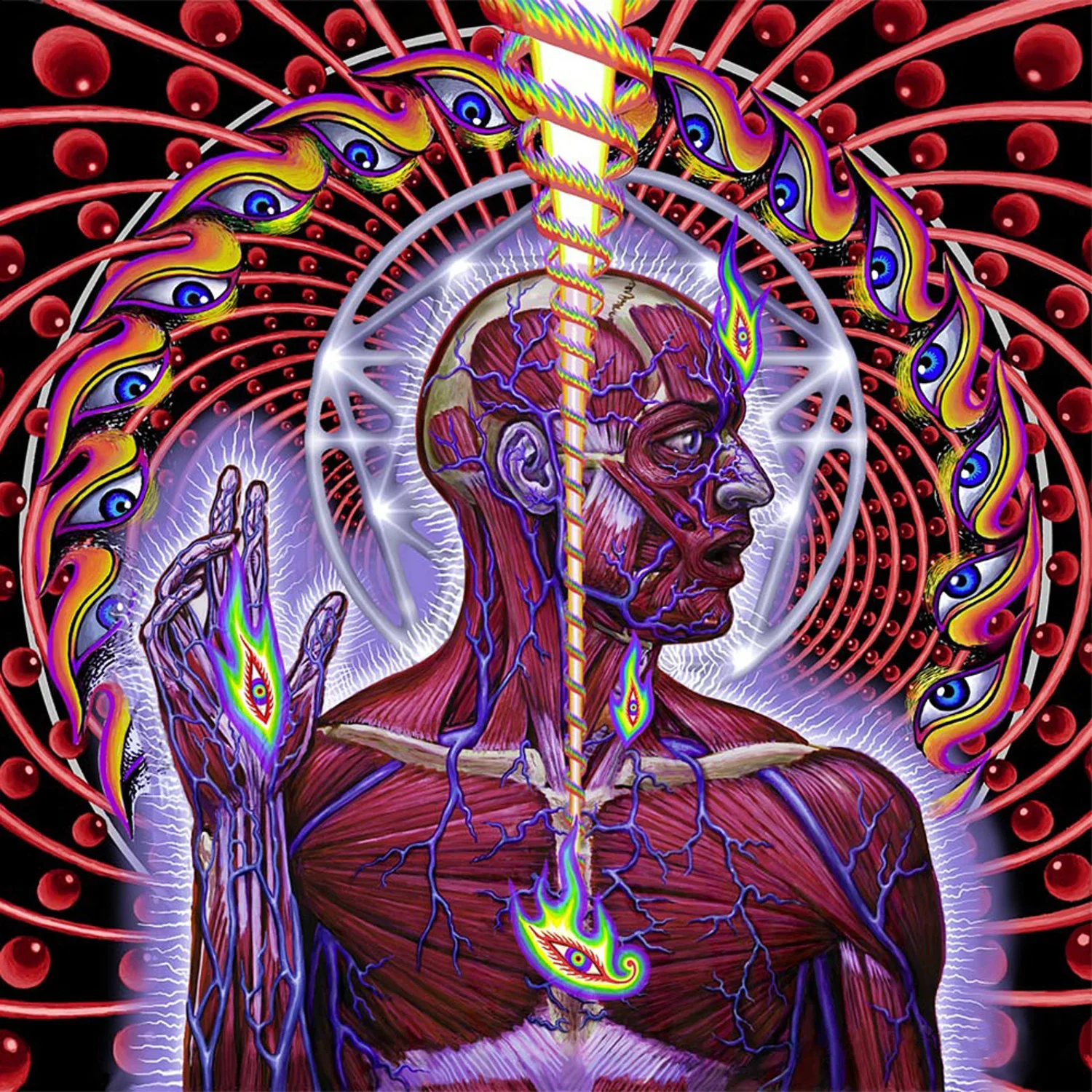 Lateralus is a 2001 album by Tool. All Things Rock have ranked and reviewed Lateralus in a list of all Tool albums ranked. This review of Lateralus discusses Schism, Lateralus, The Grudge, Reflection, Triad and other songs featuring Maynard James