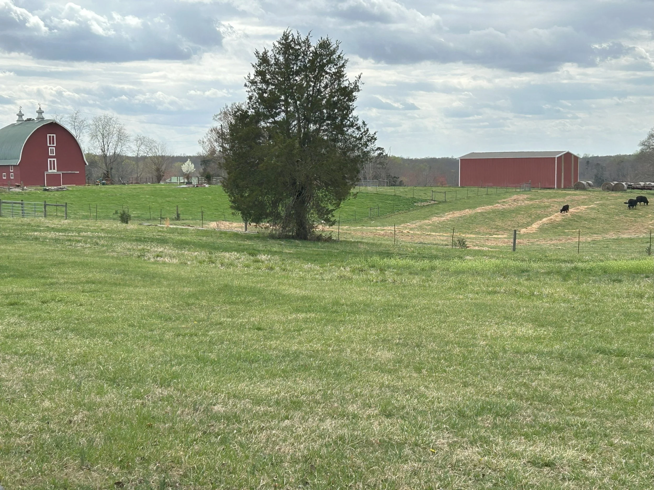 5 Reasons to Keep Your Company Closely Held or Family-Owned 