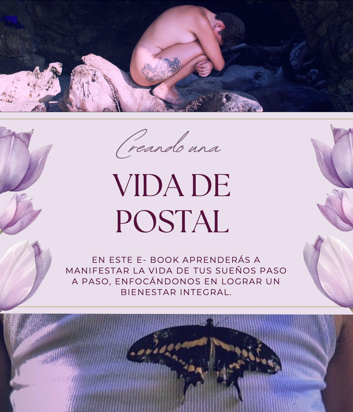 Captura de pantalla 2024-10-30 a la(s) 11.29.15 a.m..png