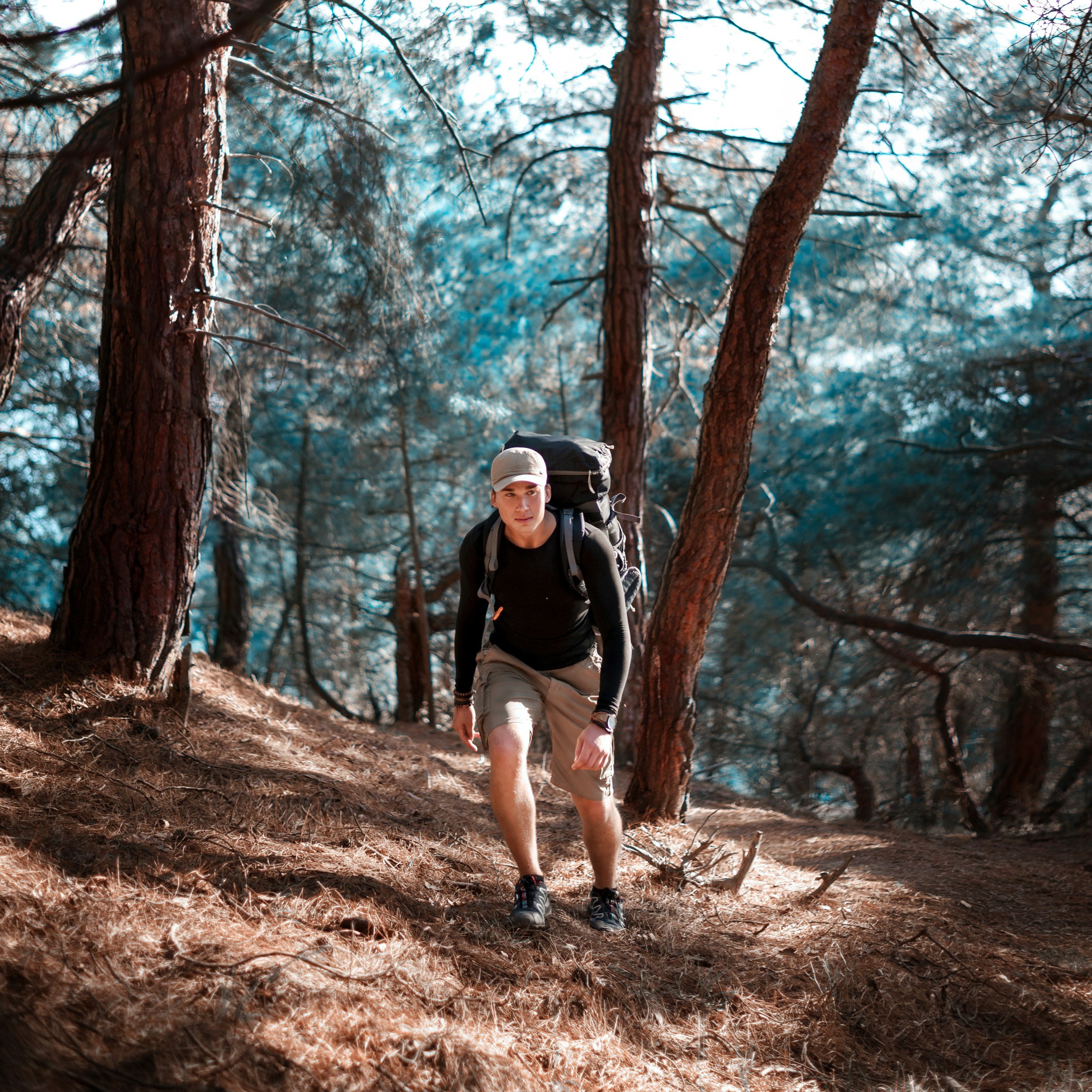 A person hiking in a forest with tall pine trees, carrying a backpack, dressed in outdoor gear, climbing uphill on a dirt trail surrounded by dry brown leaves.