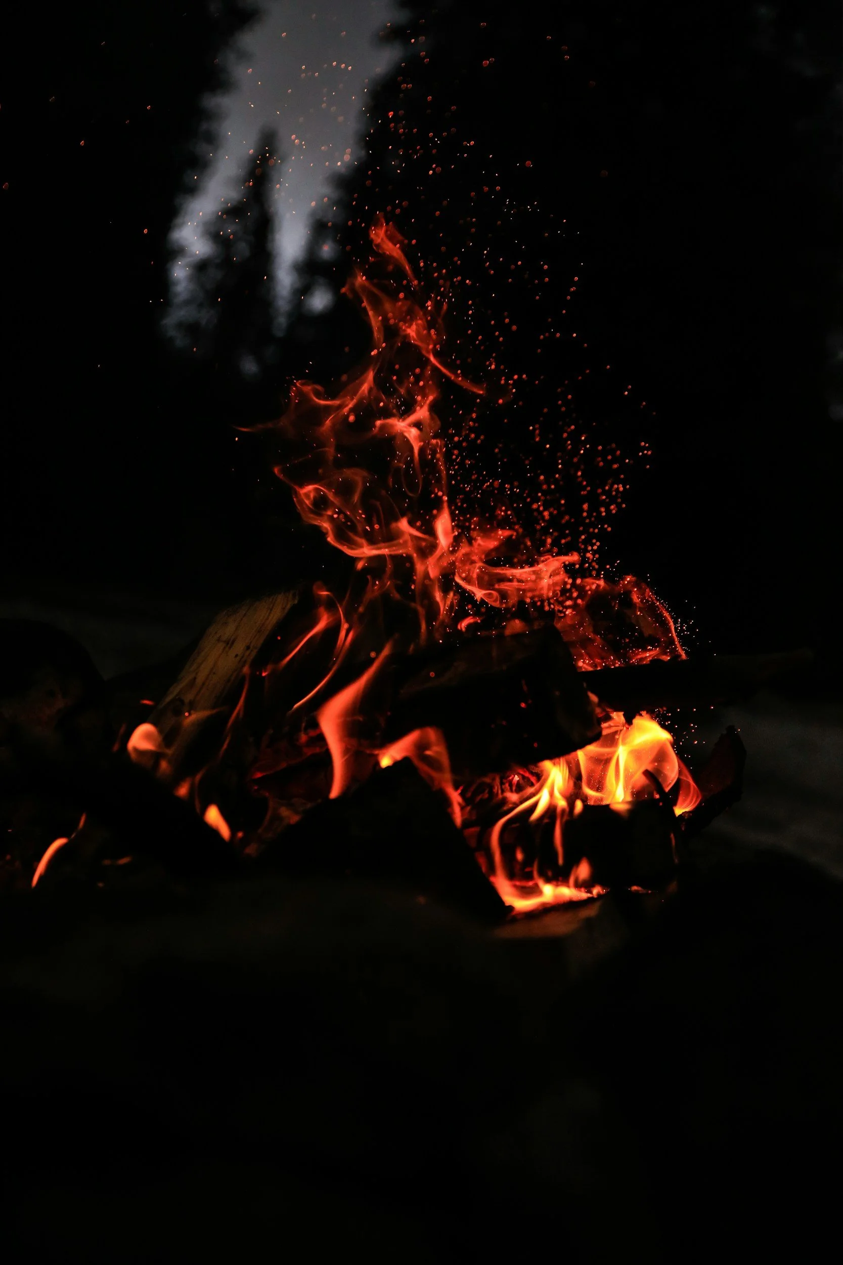 Fire: Humanity’s Enduring Meme