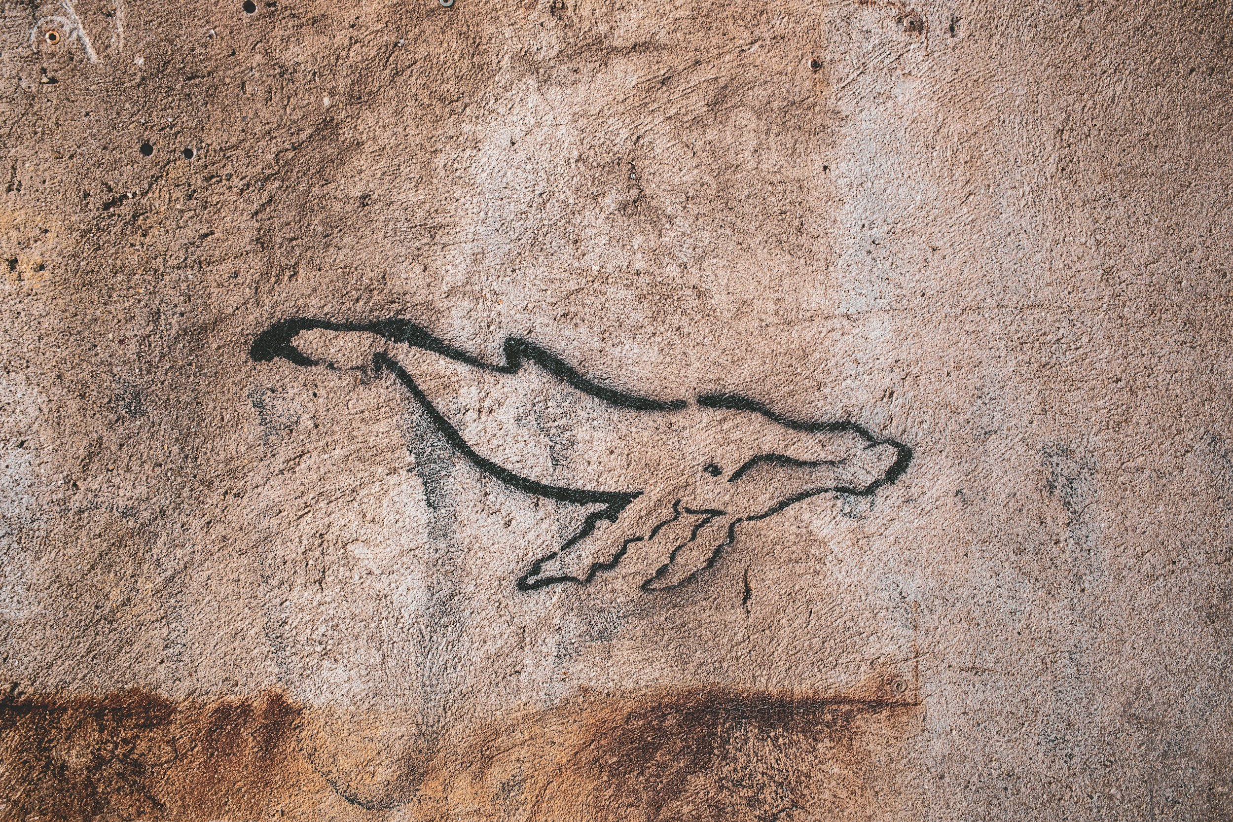 Whales That Walked and Orcas From Another World: The Mind-Boggling Saga of Cetaceans