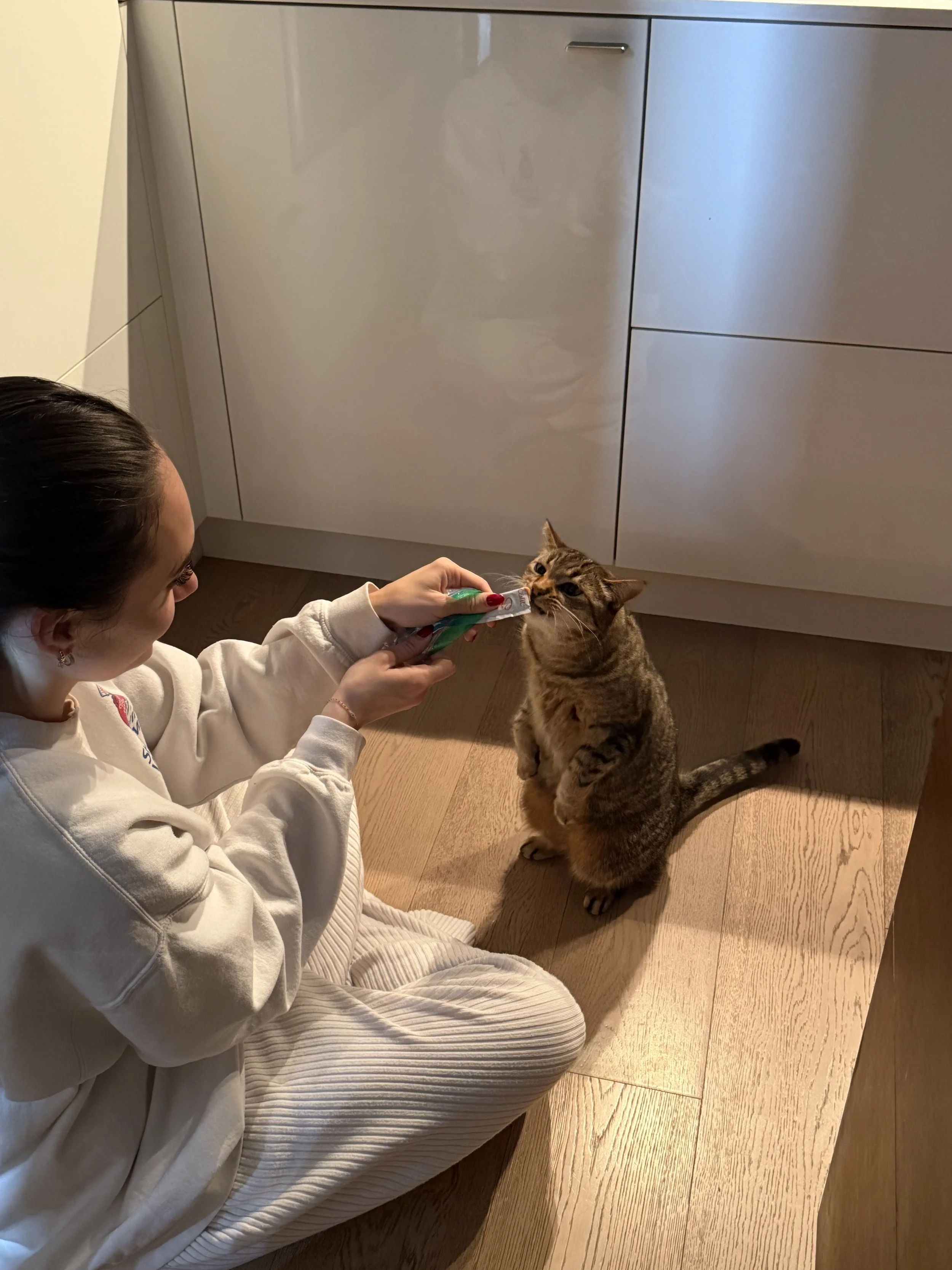A person sitting on the floor giving medicine to a tabby cat in a kitchen with wooden flooring and white cabinets.
